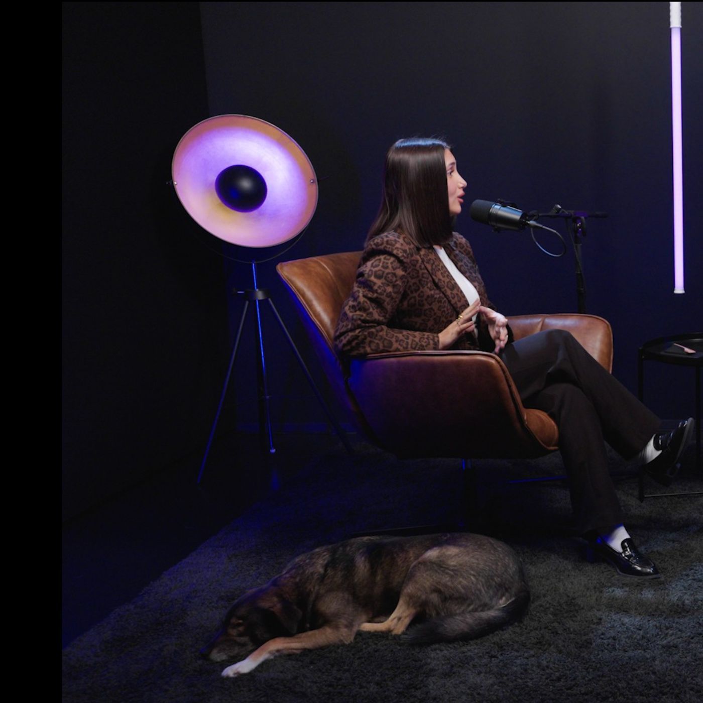 Wochenrückblick - KW 51