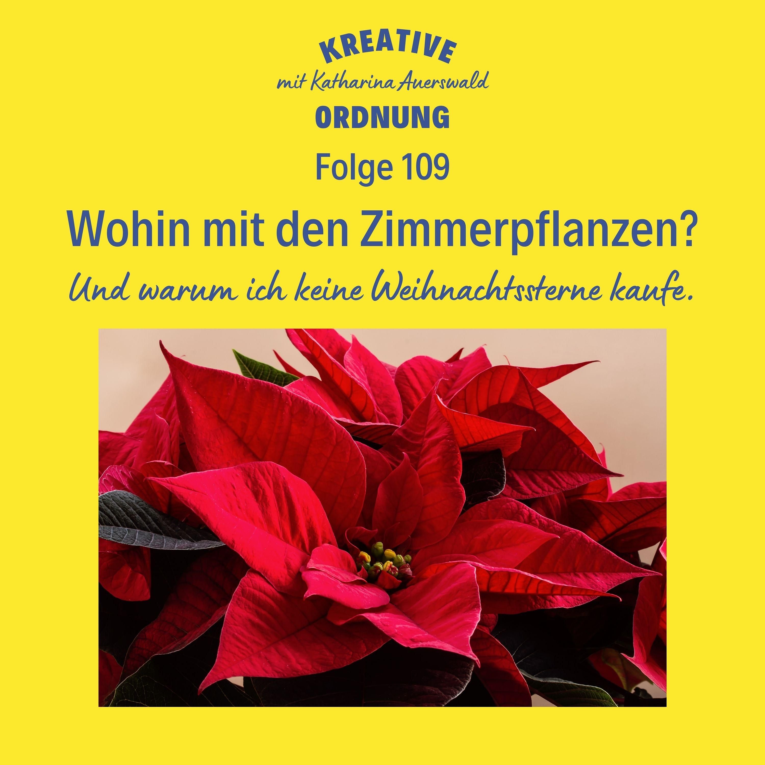 Wohin mit den Zimmerpflanzen? (#109)