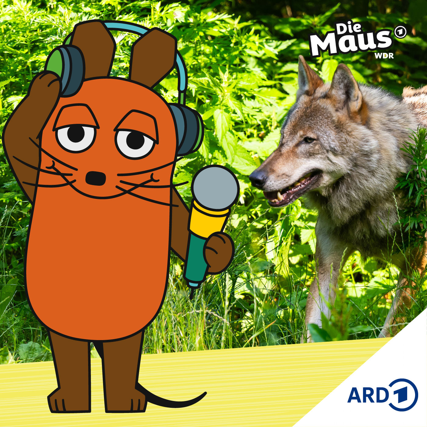 Wolf verletzt Frau in Hamburg