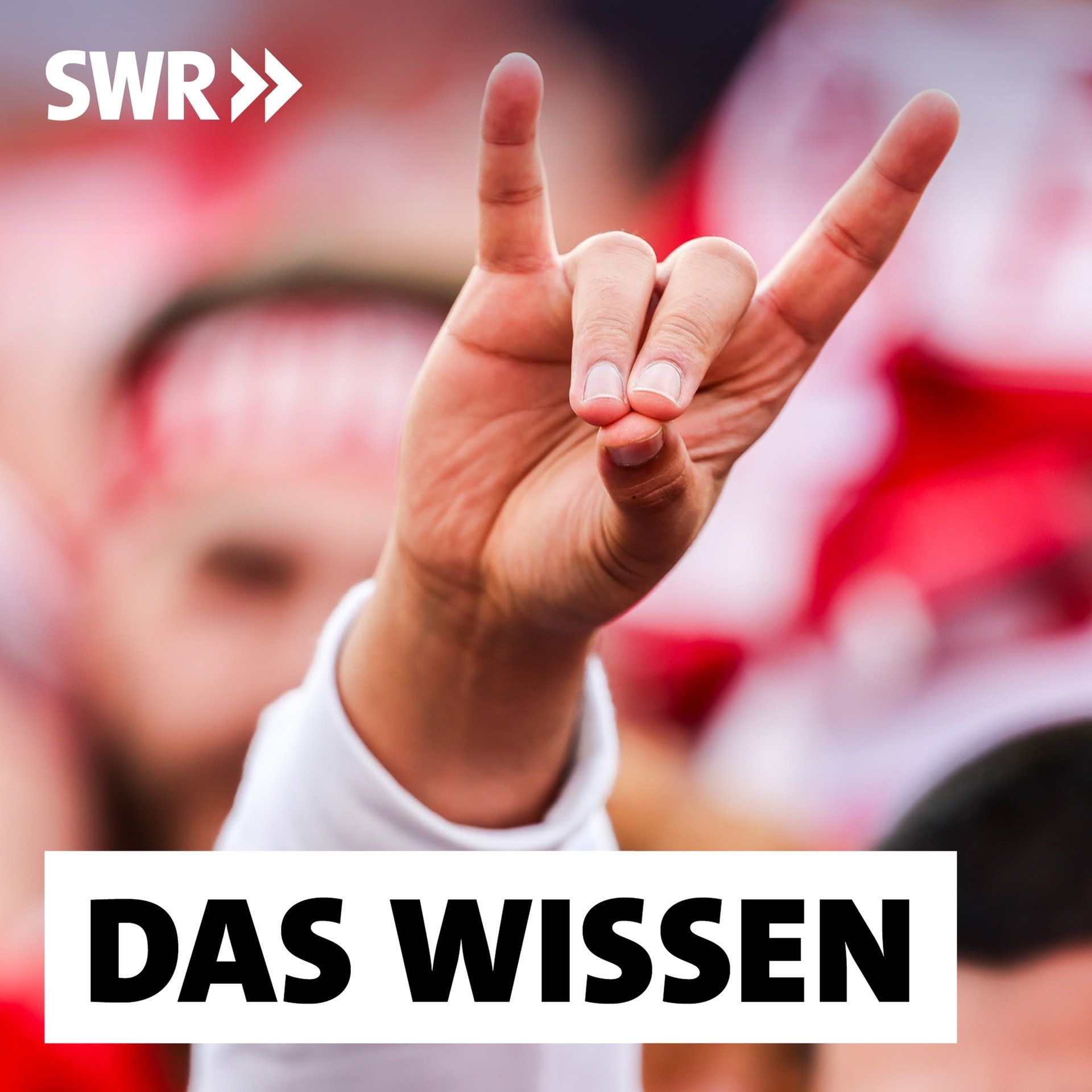 Wolfsgruß und Friedens-Zeichen – Die Macht politischer Symbole