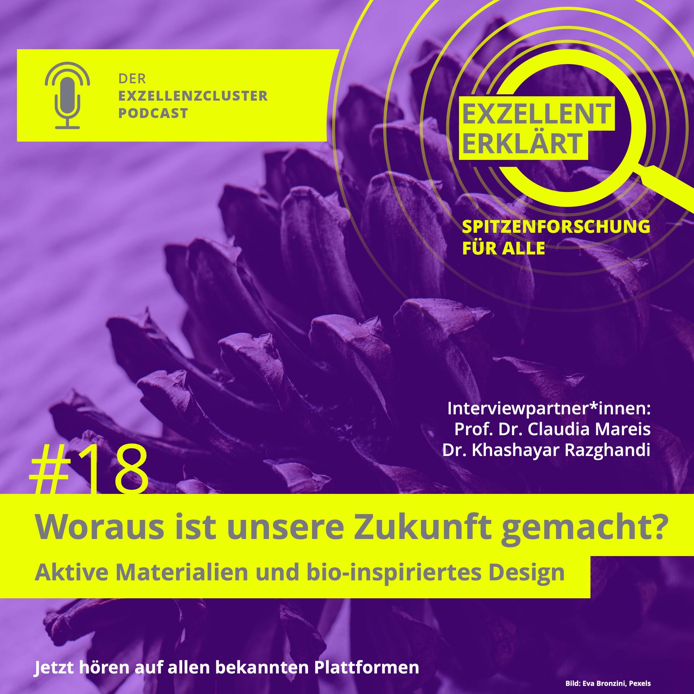 Woraus ist unsere Zukunft gemacht? Aktive Materialien und bio-inspiriertes Design