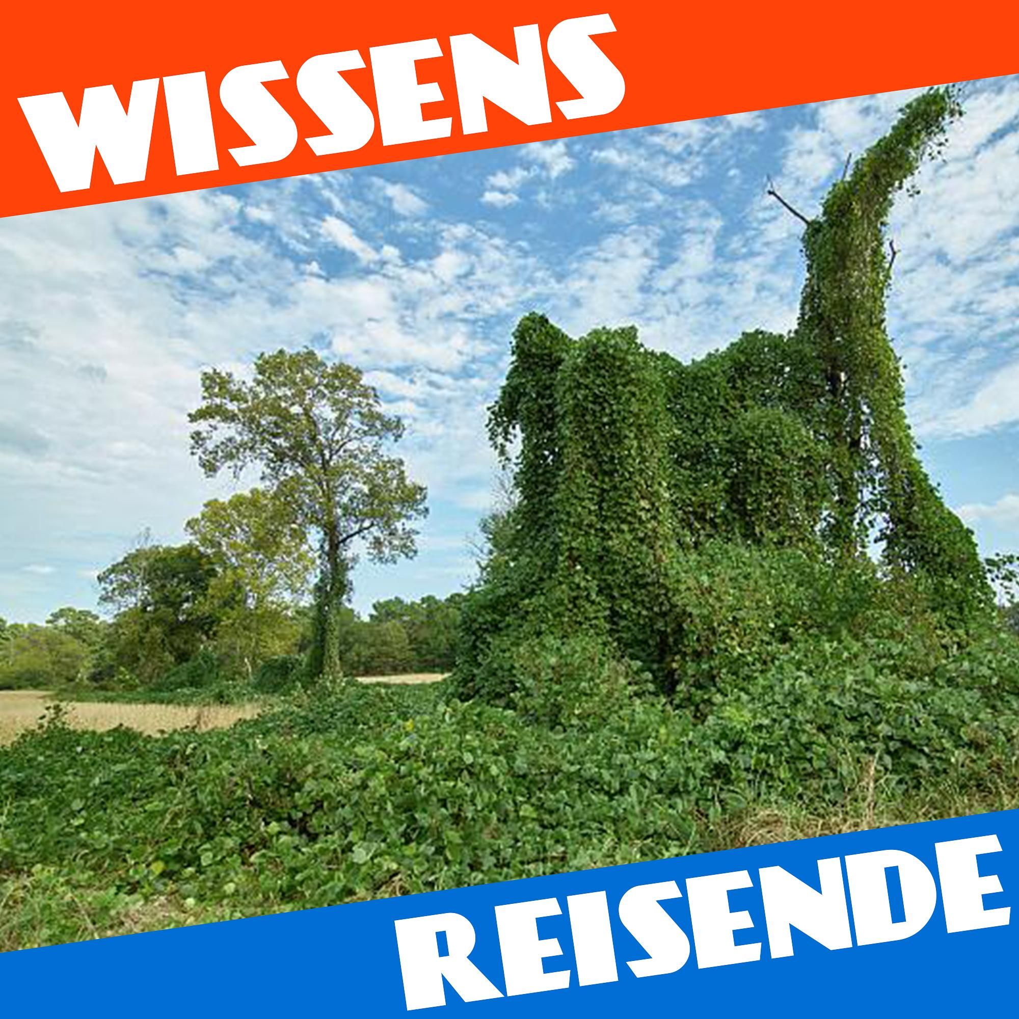 WR153 - Die unbesiegbare Pflanze die den Süden fraß: Kudzu