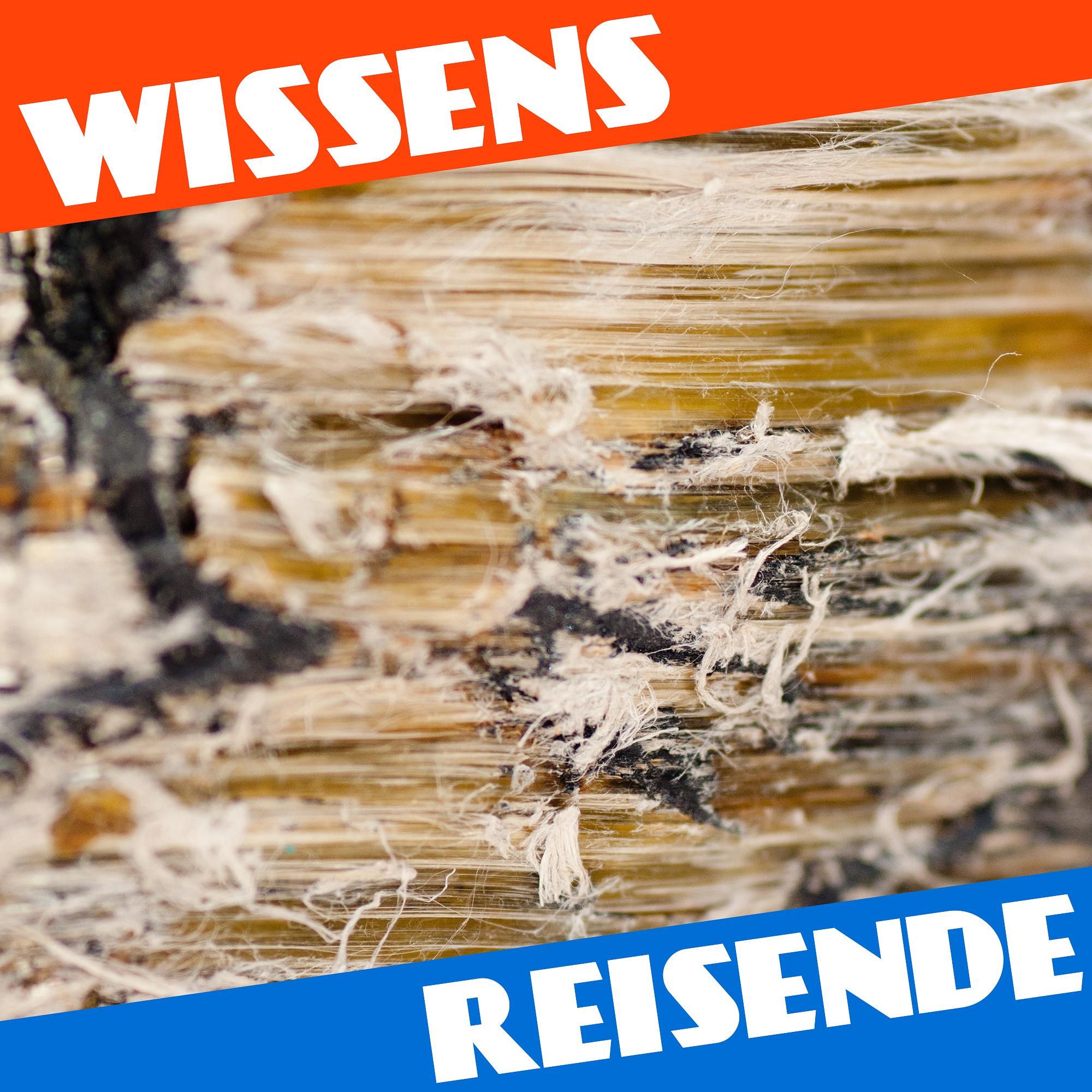 WR161 - Tödliches Wundermaterial: Eine kleine Geschichte des Asbests