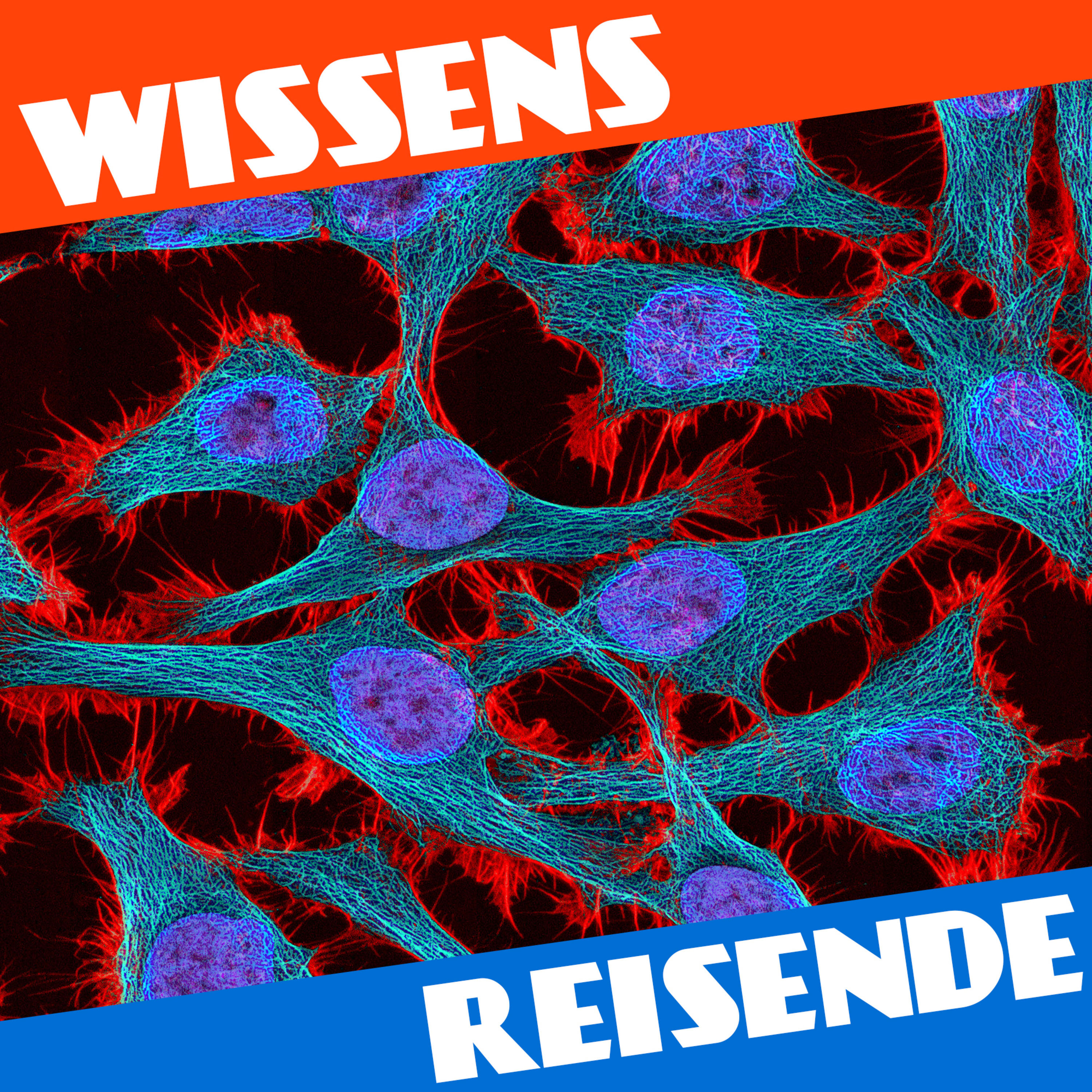 WR173 - Die Geschichte der unsterblichen Henrietta Lacks