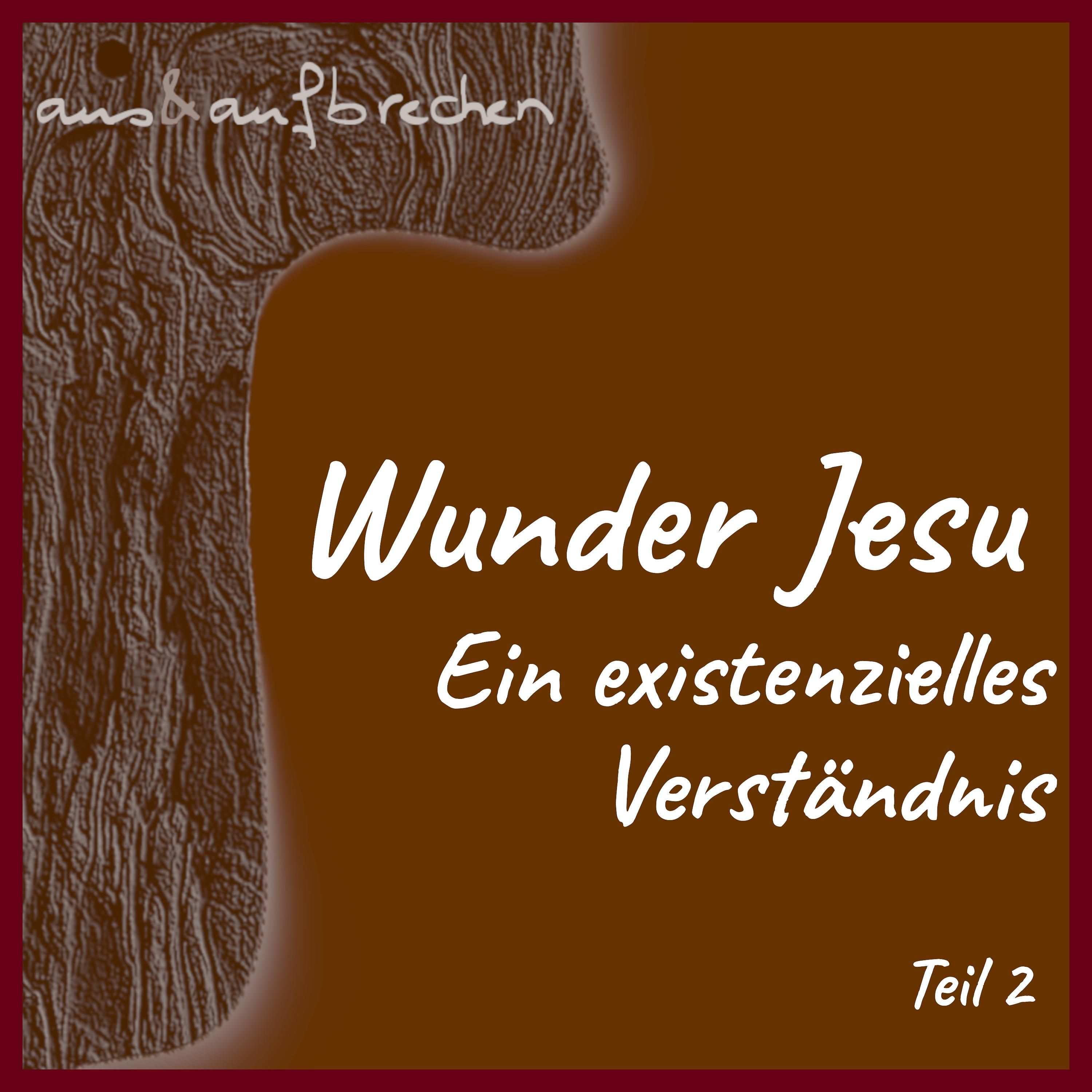 Wunder Jesu: ein existenzielles Verständnis – Teil 2 - Folge 45