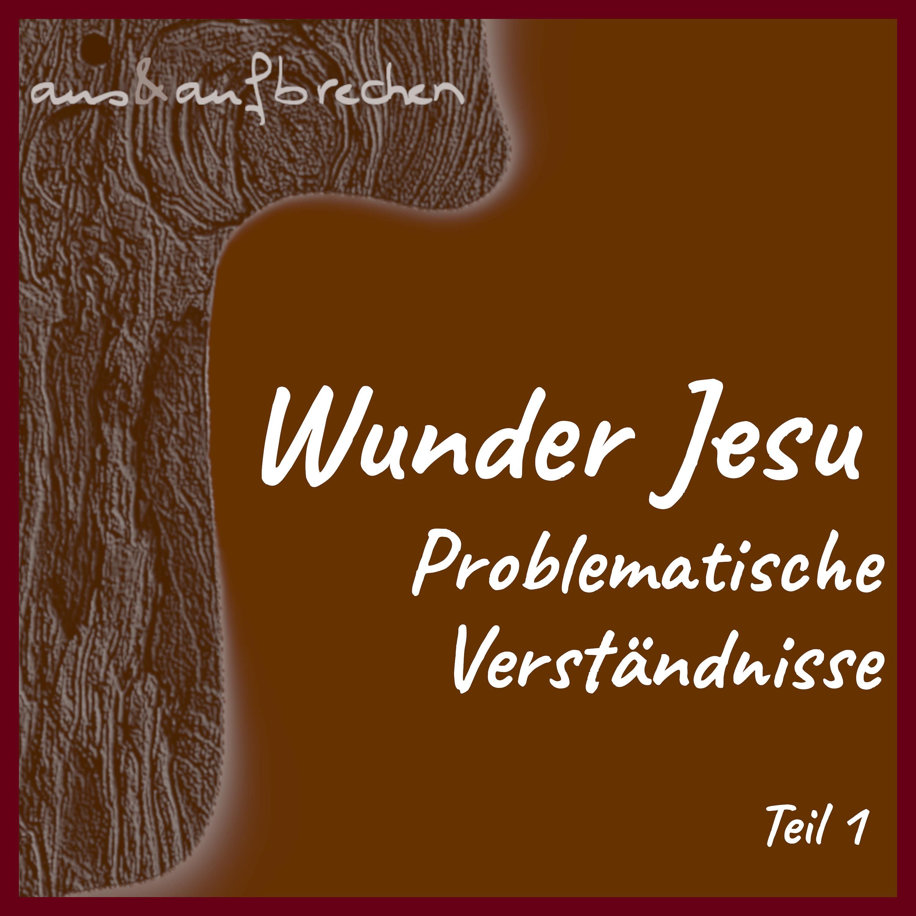 Wunder Jesu: problematische Verständnisse – Teil 1 - Folge 44