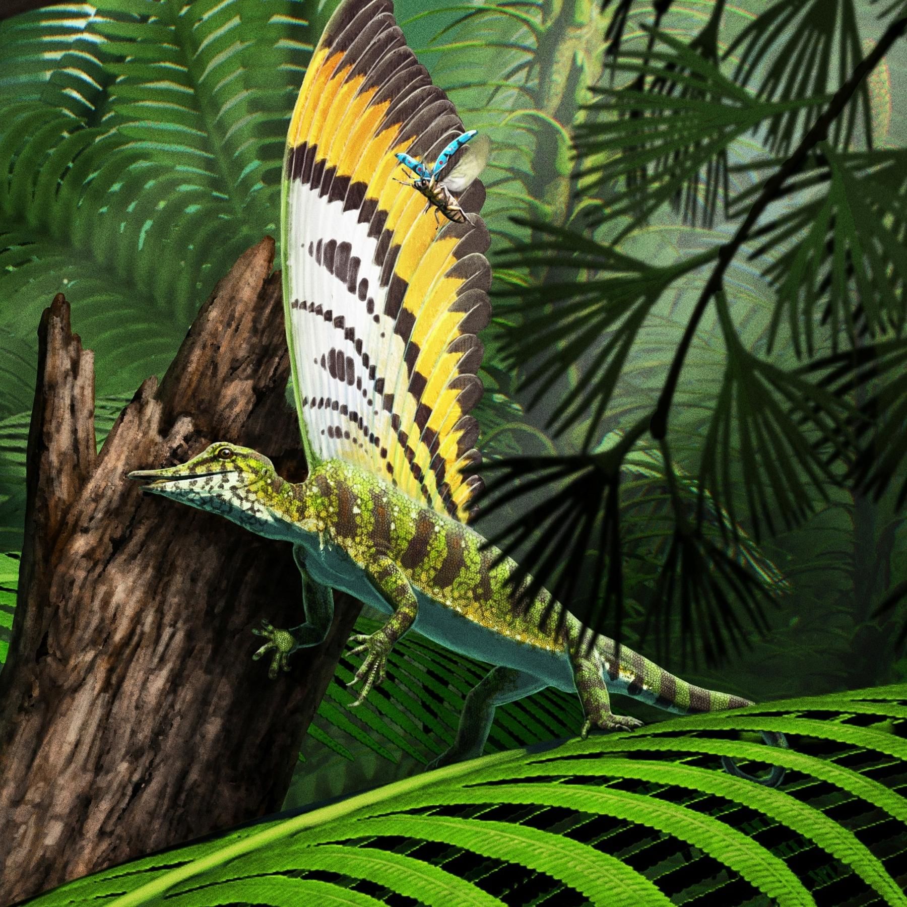 Wunderreptil Mirasaura - So entschlüsseln Saurier-Forscher alte Fossilien