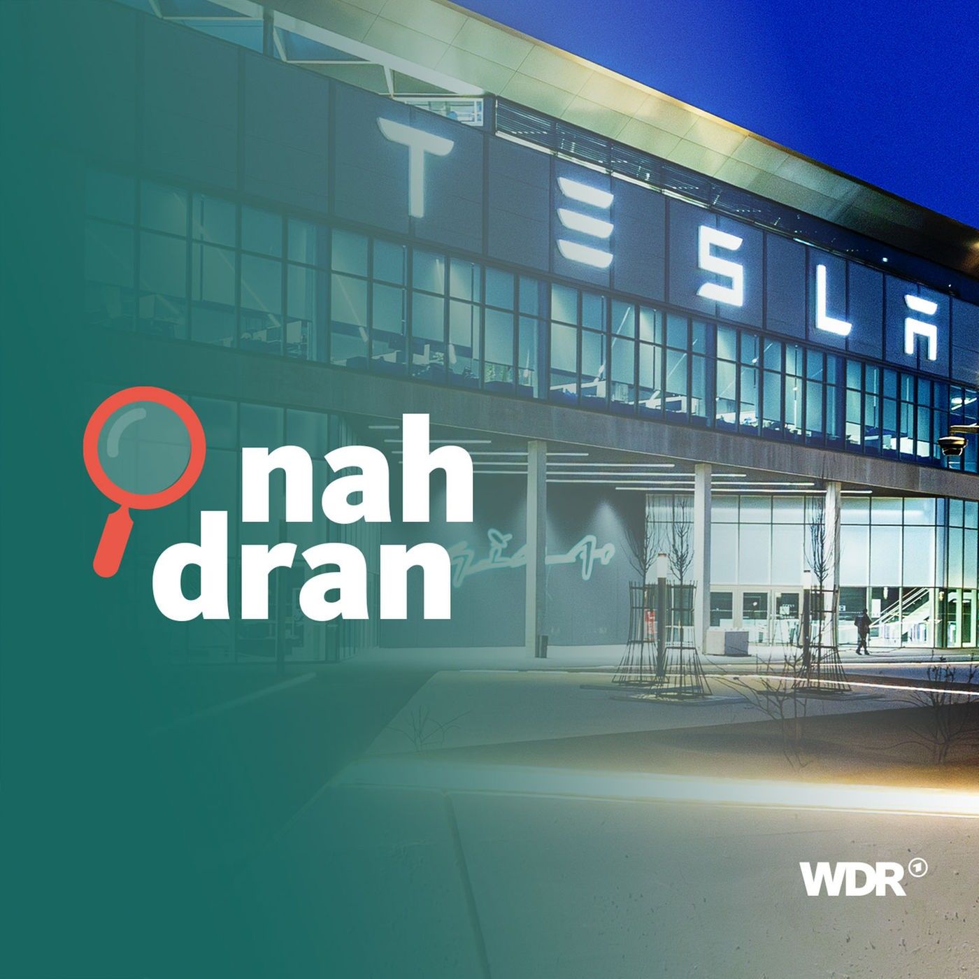 Wut auf Tesla I nah dran