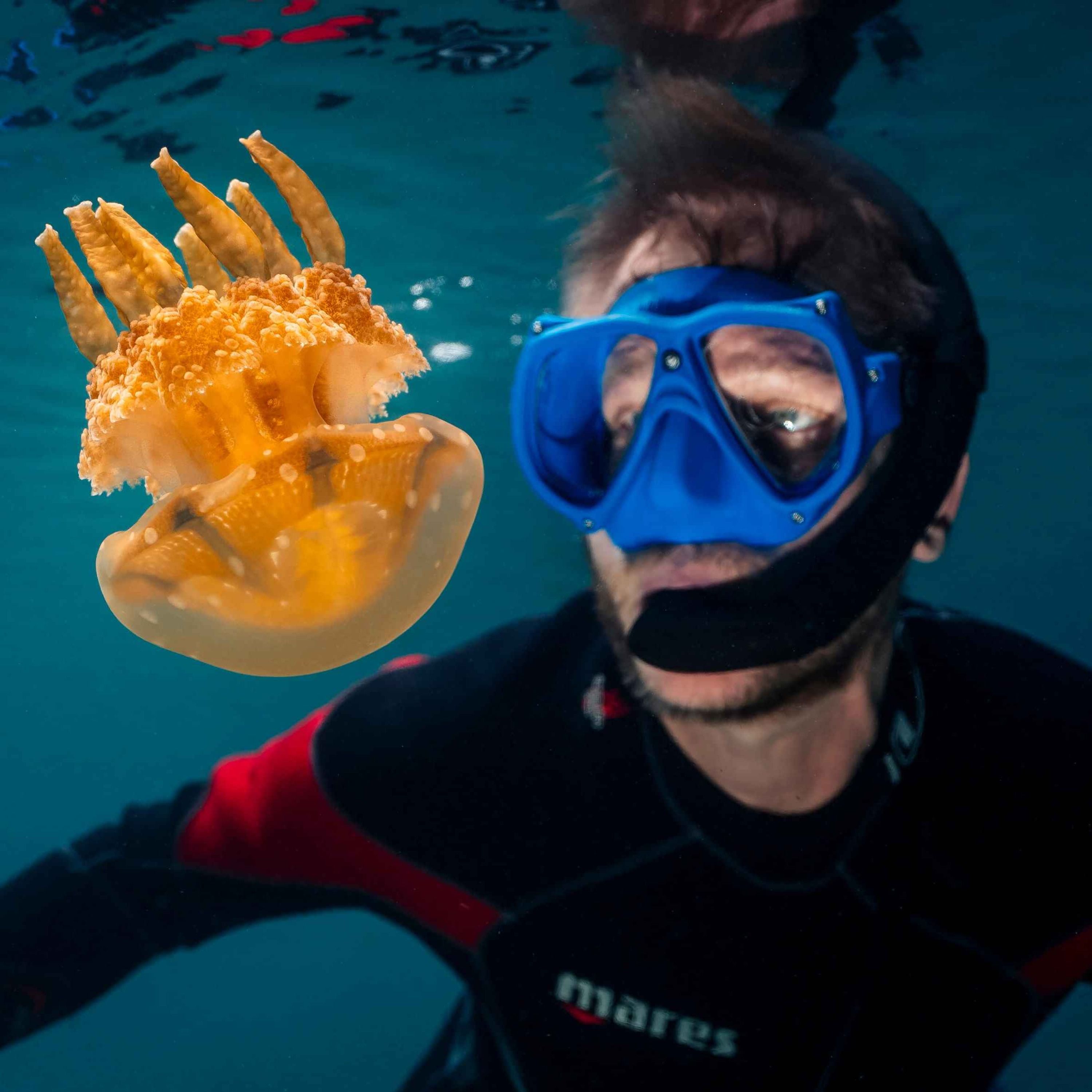 WW408: Vergessene Wracks und tickende Zeitbomben der Geschichte – mit Unterwasserarchäologe und Forschungstaucher Dr. Florian Huber in Palau & Ruanda