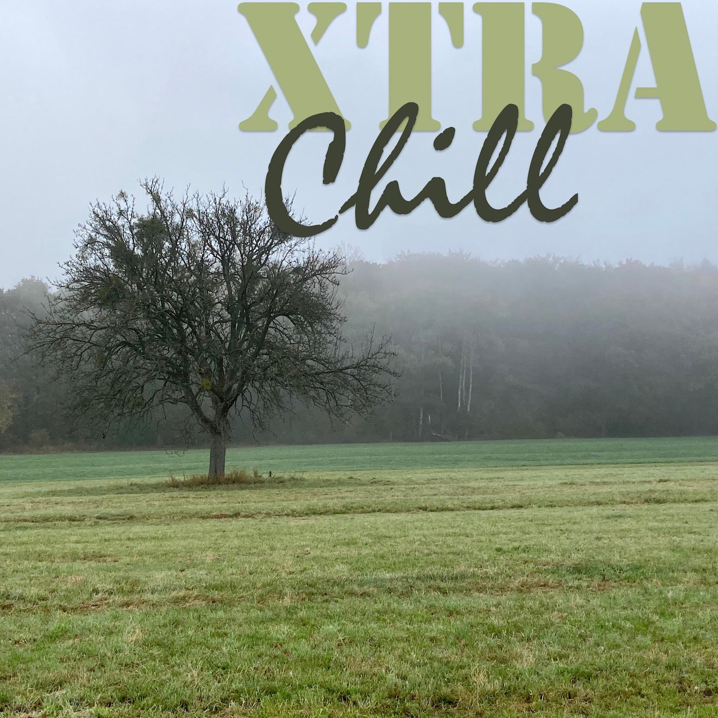 XtraChill 357