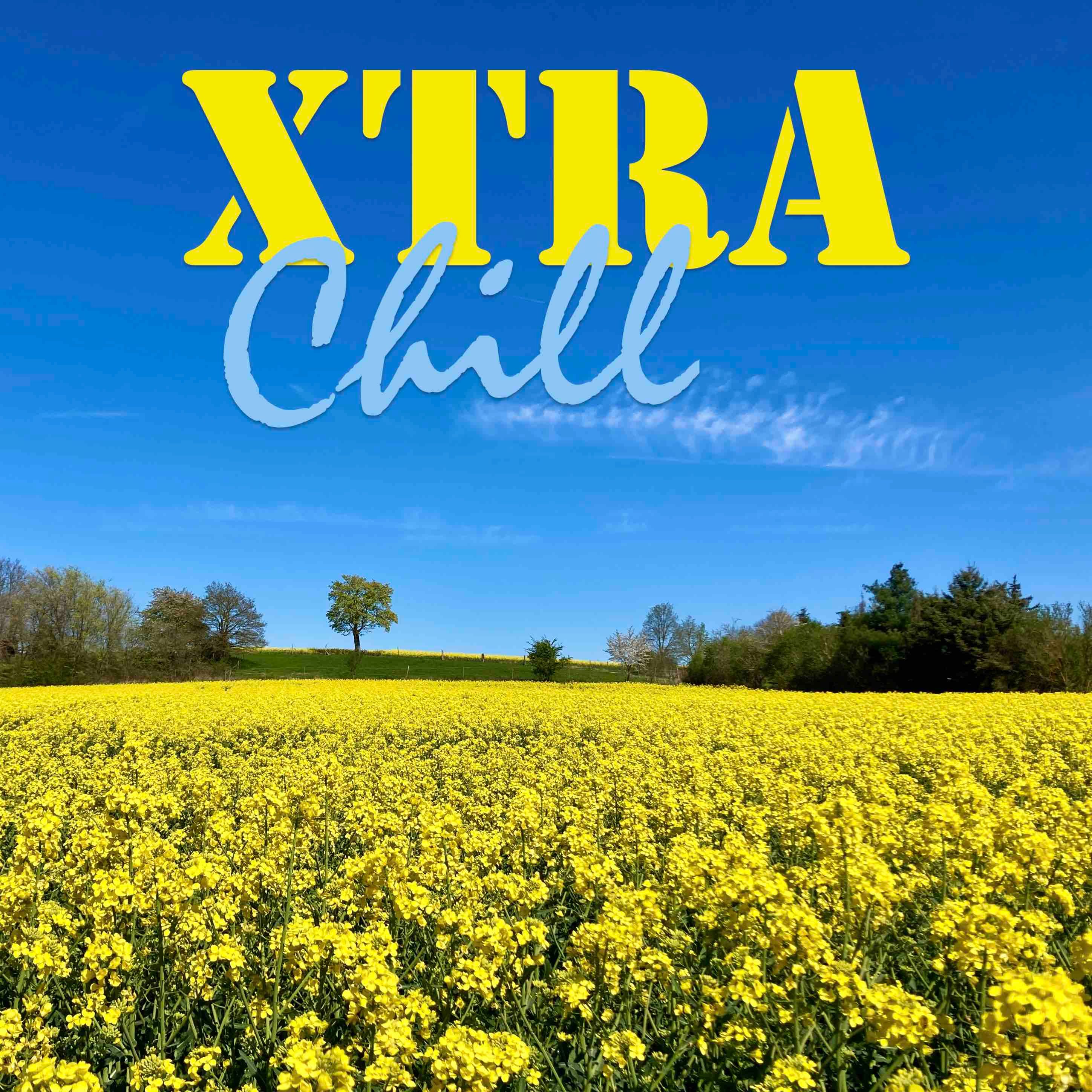 XtraChill 368
