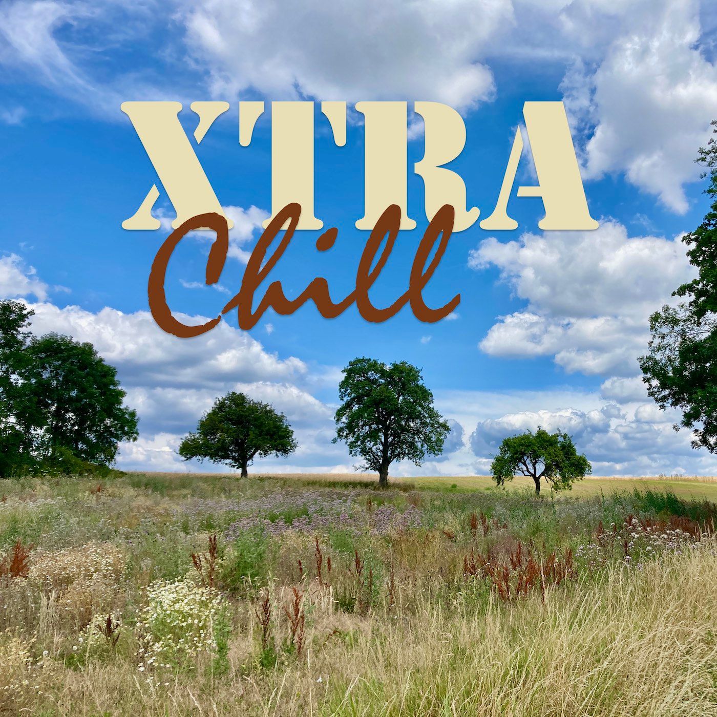 XtraChill 374