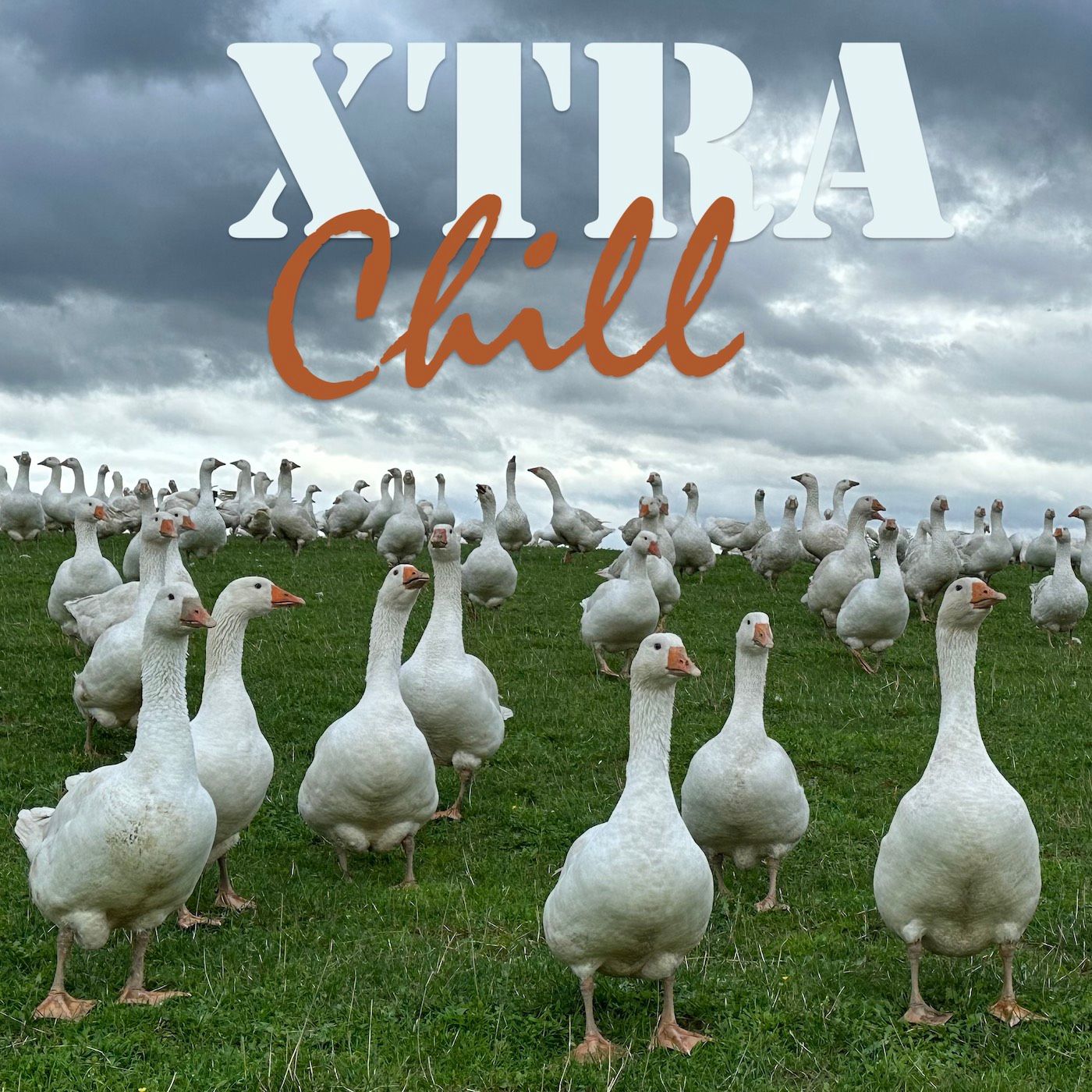 XtraChill 404