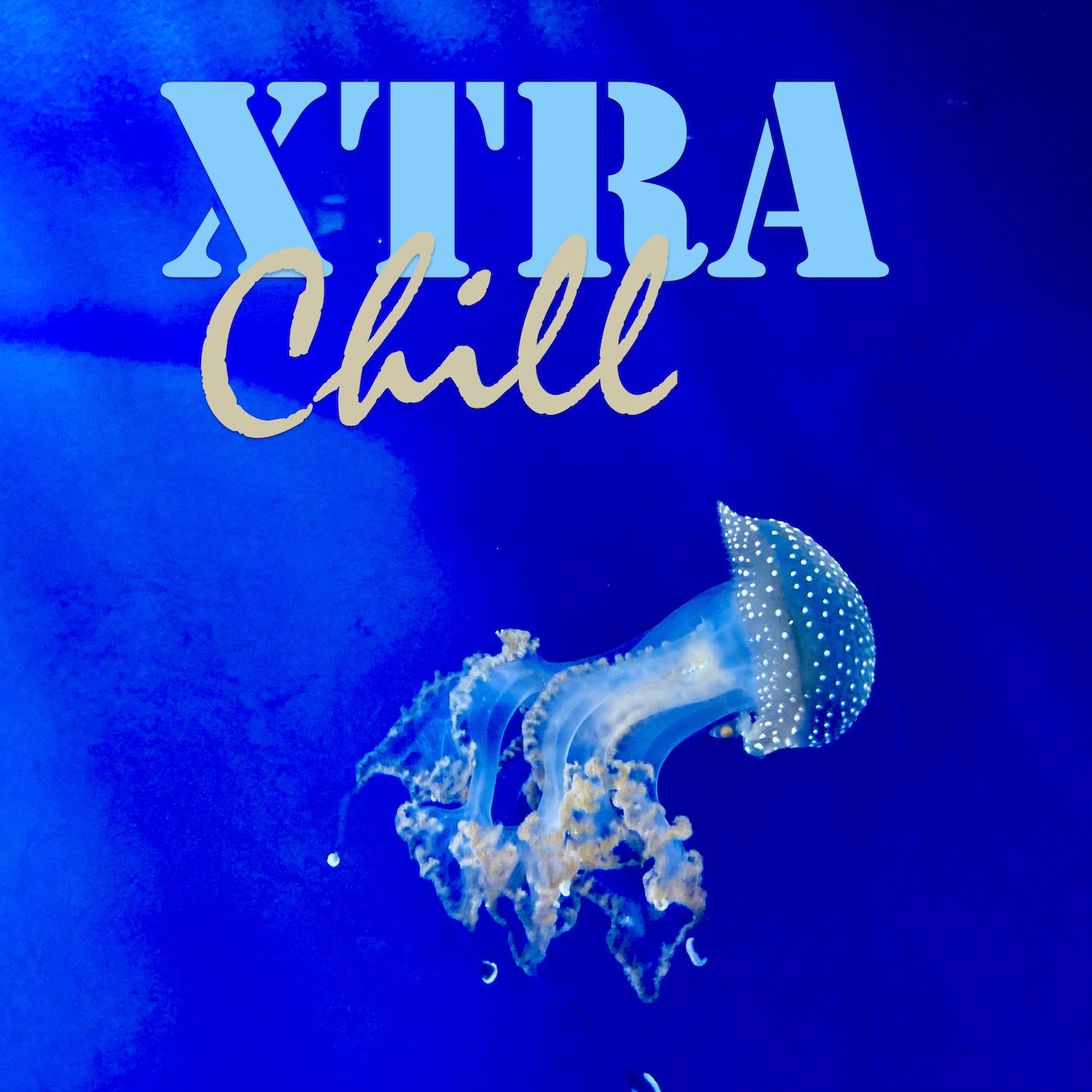 XtraChill 423