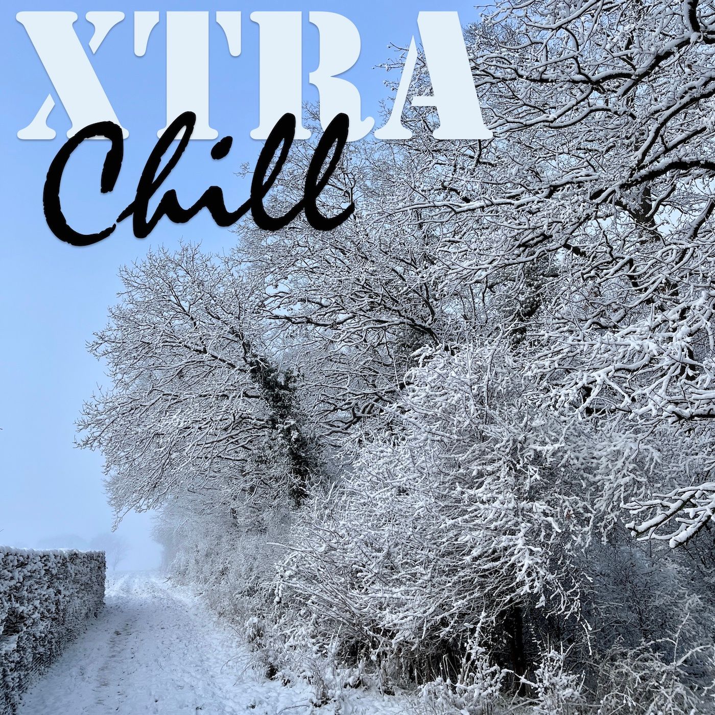 XtraChill 428
