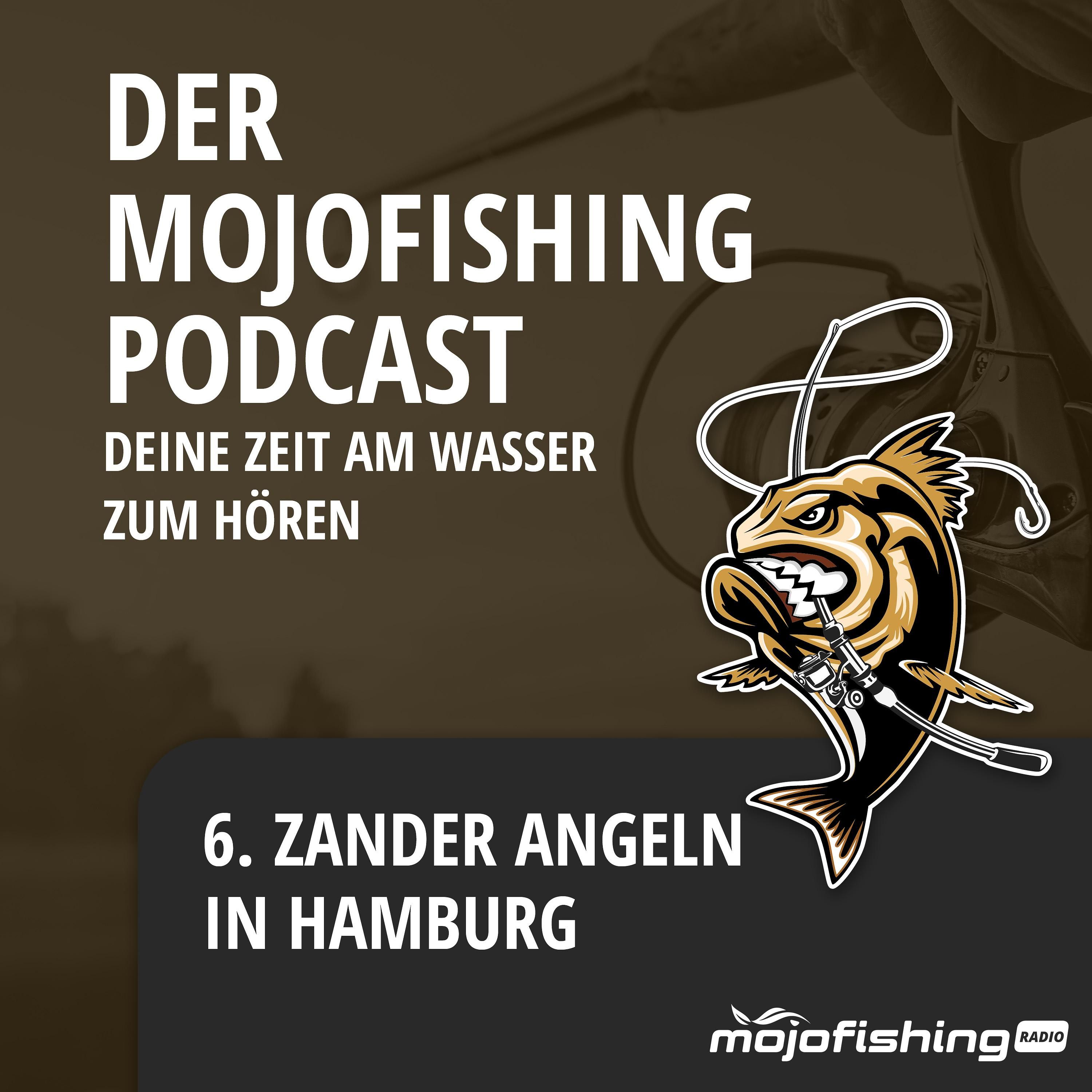 Zander Angeln in Hamburg
