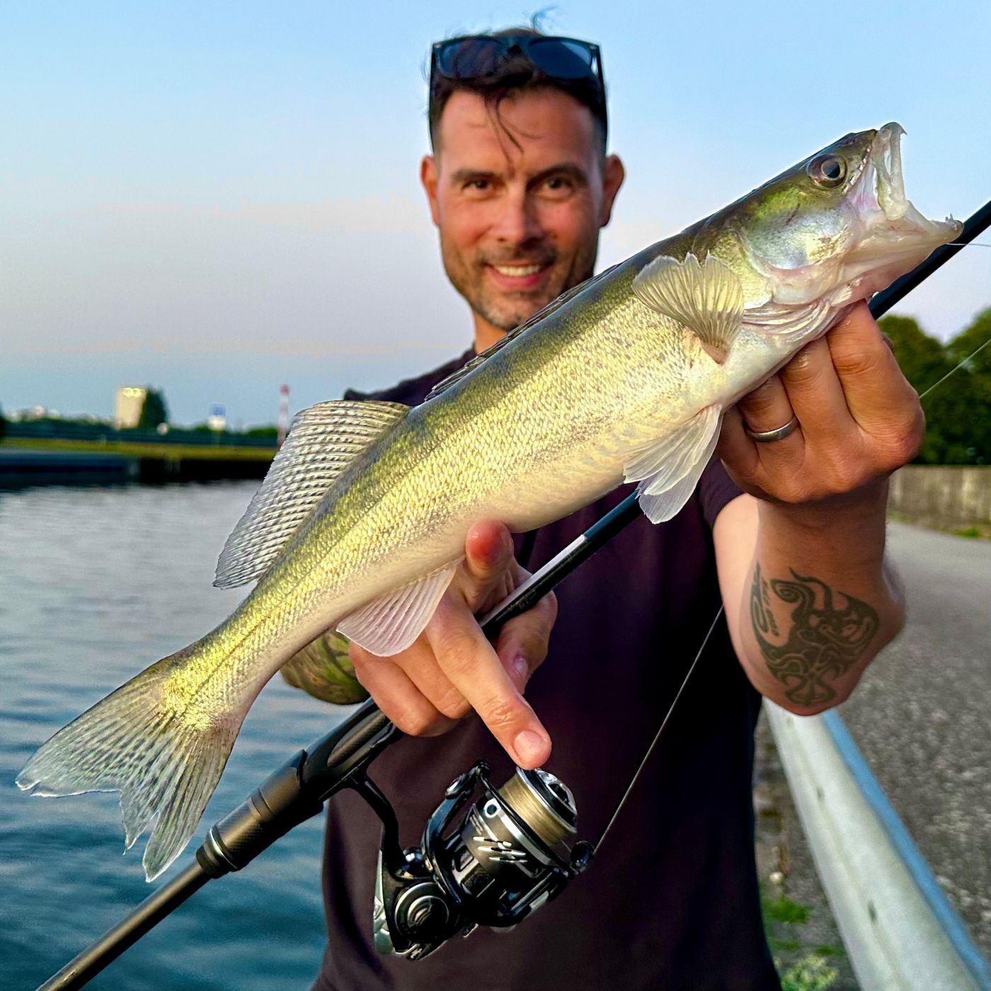 Zander auf Ansage - Angeln a la Casa mit Enrico di Ventura | #181