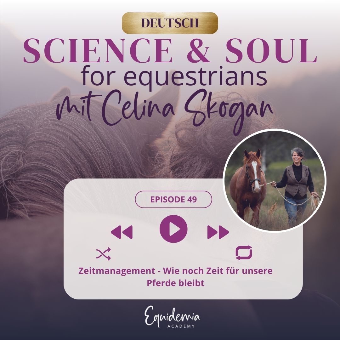 Zeitmanagement - Wie noch Zeit für unsere Pferde bleibt