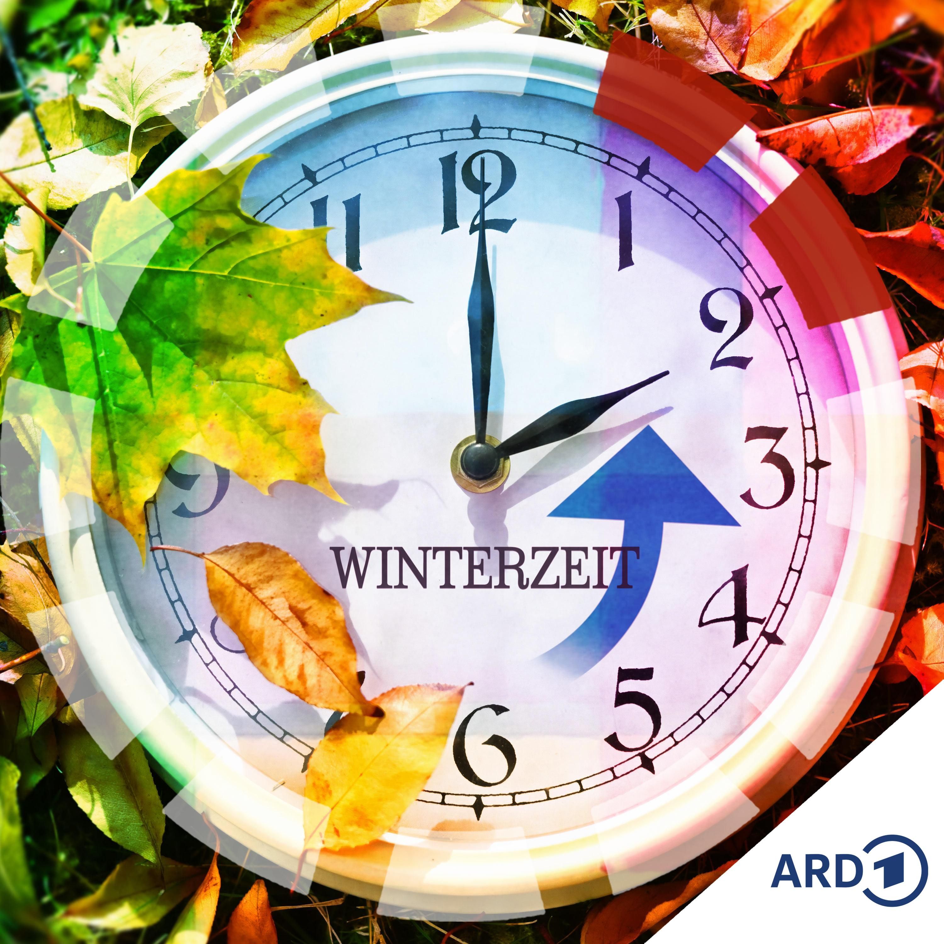 Zeitumstellung - bringt das was?