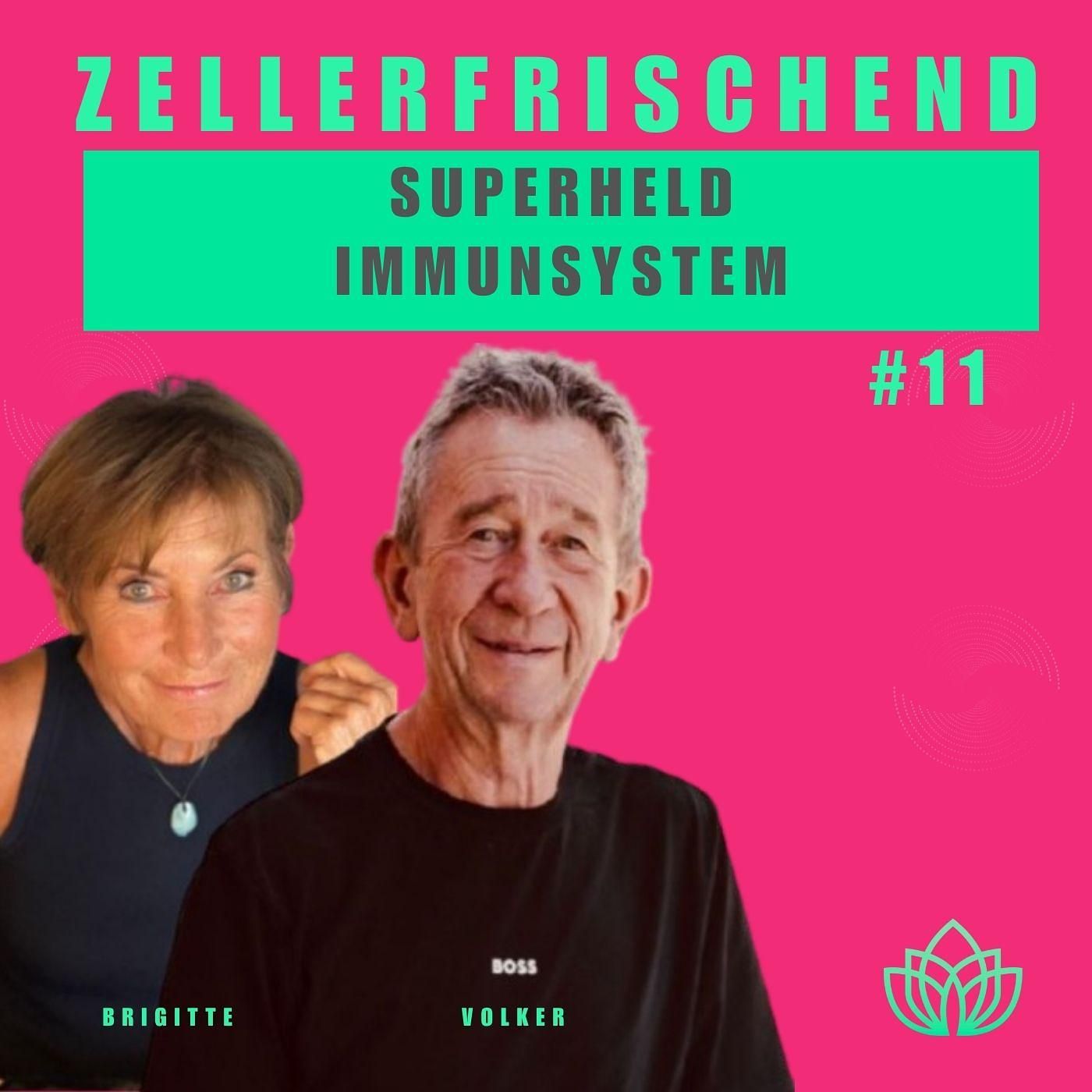 Zellerfrischend – Immunsystem: Dein Schutzschild von innen #11