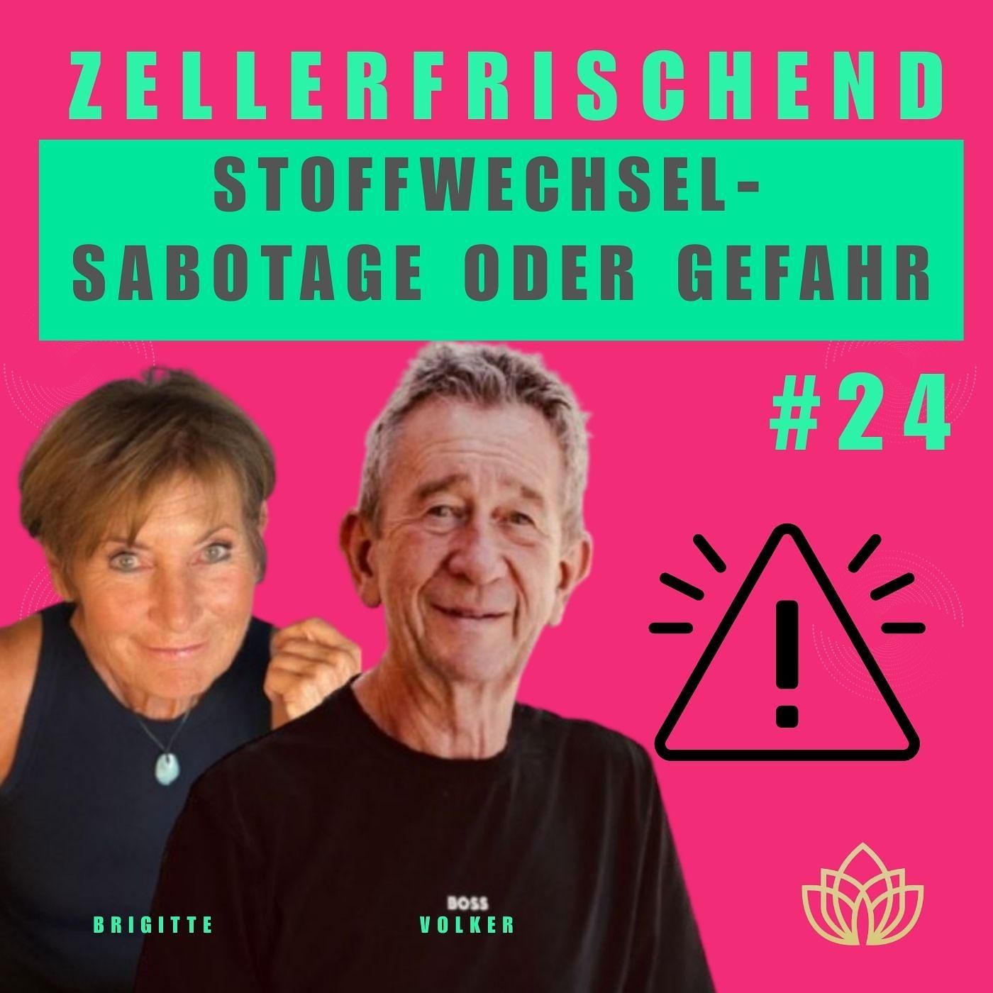Zellerfrischend - Stoffwechsel – die Basis für deine Energie und Vitalität #24