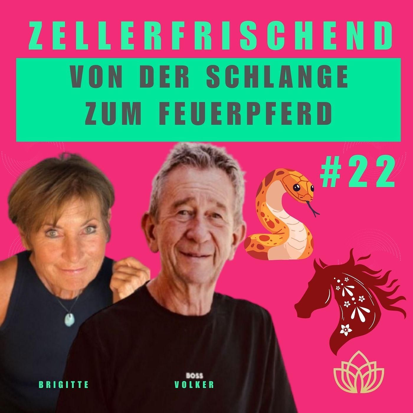 Zellerfrischend - Vom Jahr der Schlange zum Jahr des Feuerpferdes #22