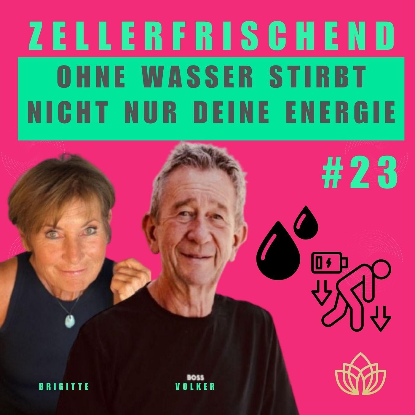 Zellerfrischend - Warum Wasser deine Vitalität steuert - #23