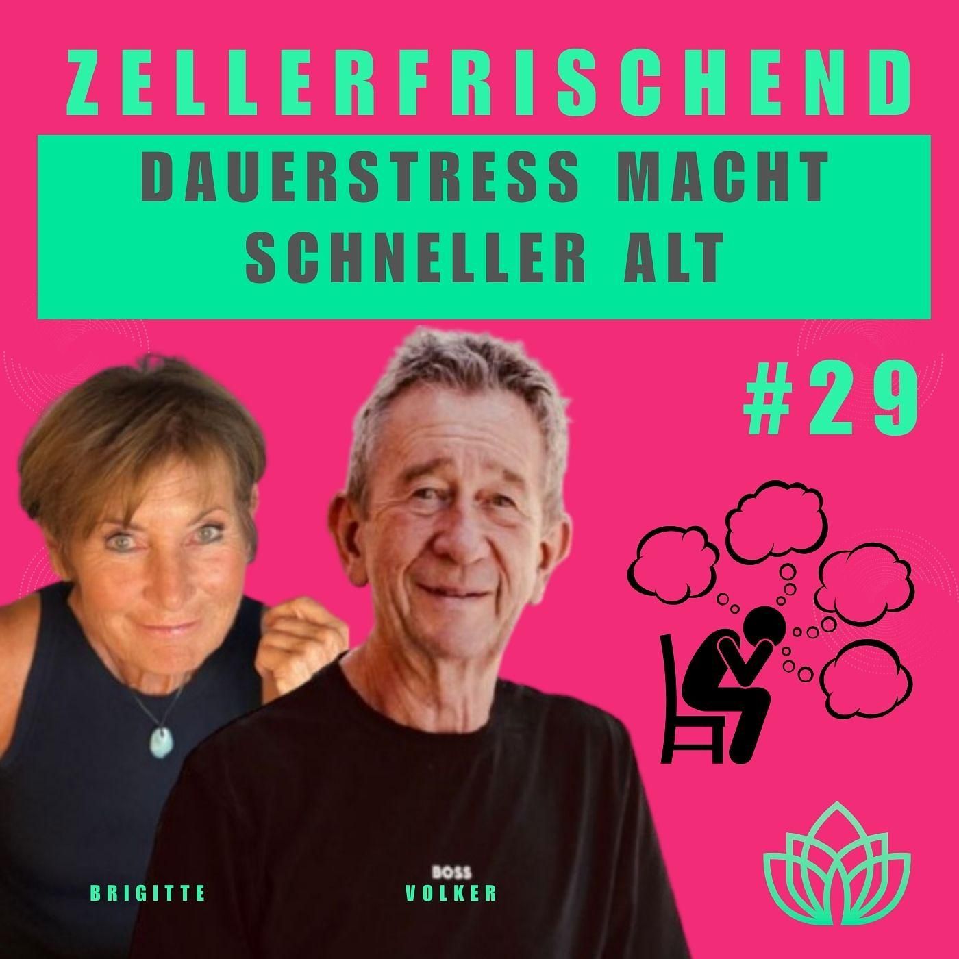 Zellerfrischend - Wie Dauerstress deinen Körper schneller altern lässt #29