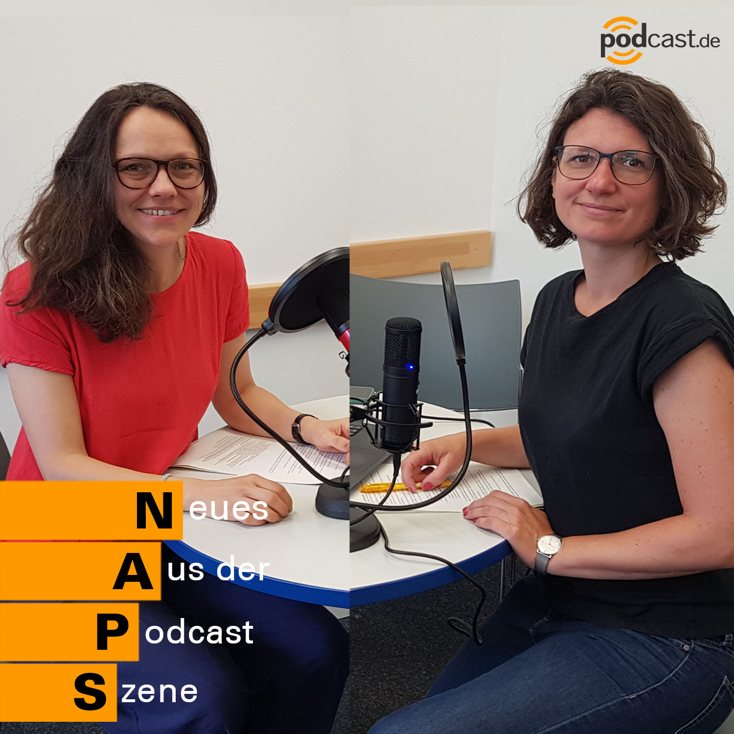 Zerrbild statt Aufklärung: Die Wahrheit über True Crime-Podcasts - mit den Kriminologinnen Dr. Nicole Bögelein und Prof. Dr. Gina Rosa Wollinger #44