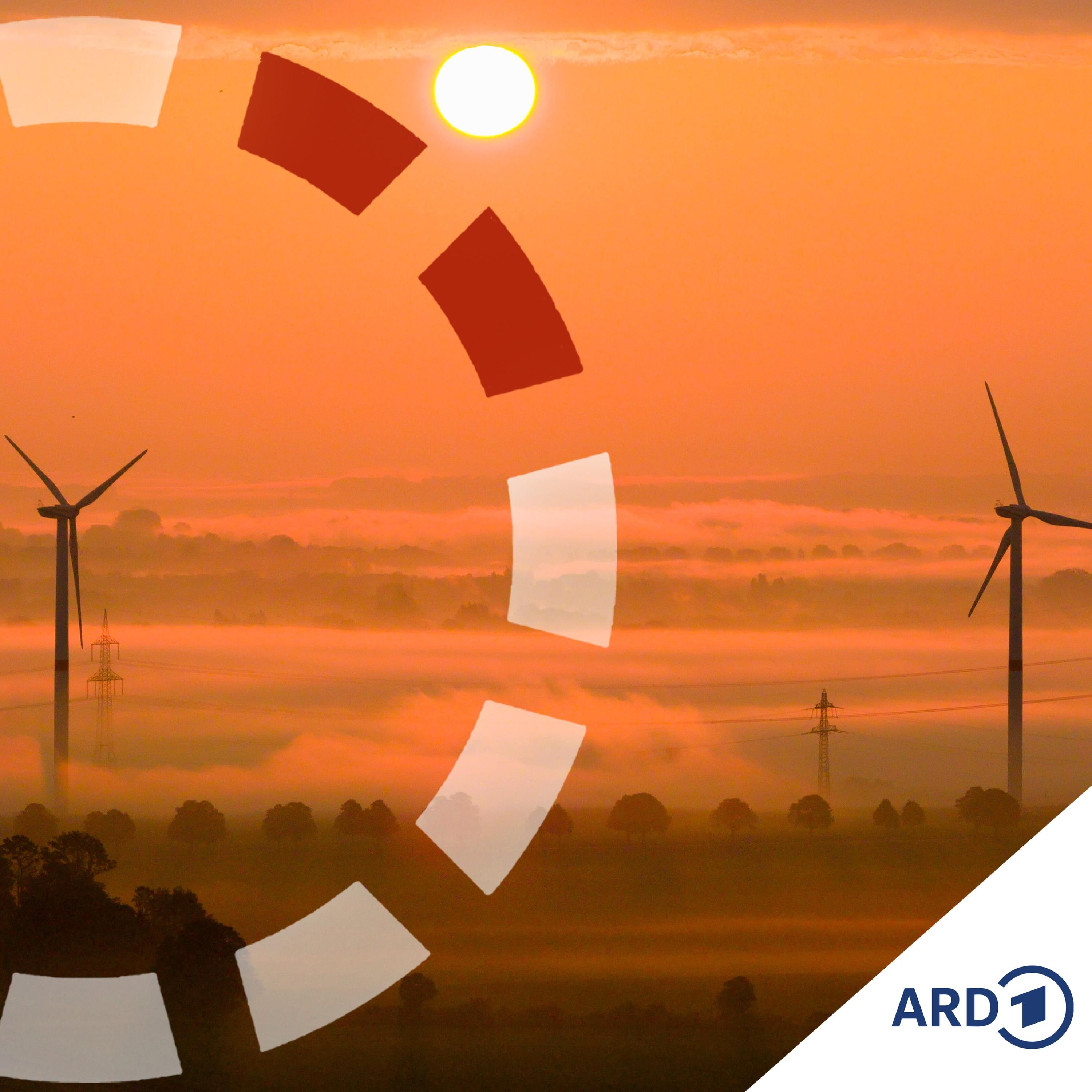 Zerstört der Klimaschutz die deutsche Wirtschaft?