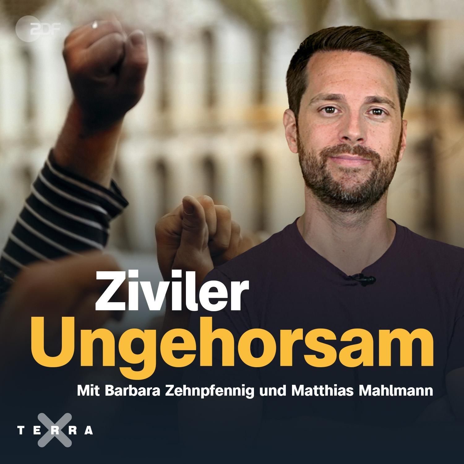 Ziviler Ungehorsam: die Geschichte des gewaltlosen Protests