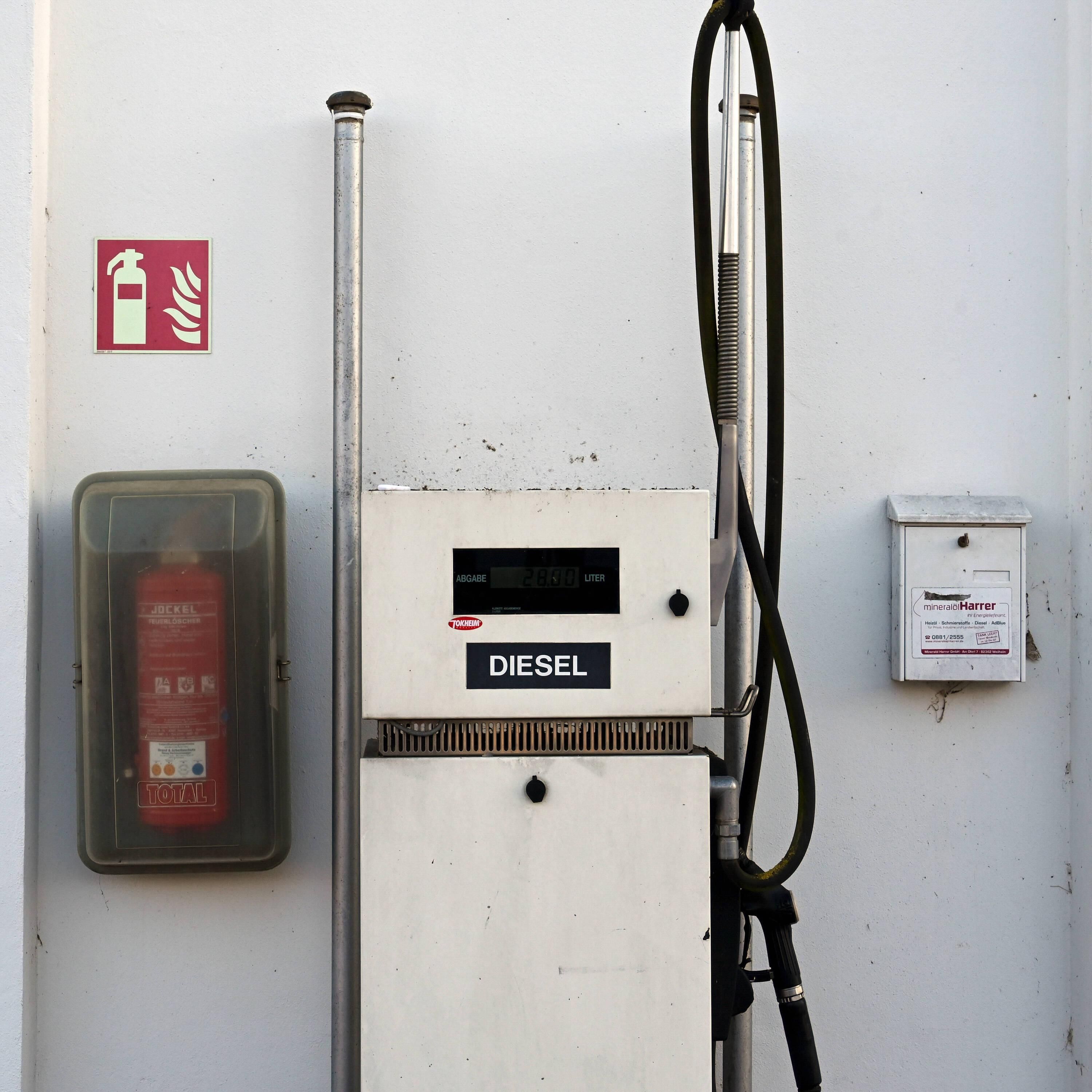 Zögerliche Wirtschaft? "Deutsche Autobauer werden pleitegehen" - Sabine Nallinger (Stiftung Klimawirtschaft)