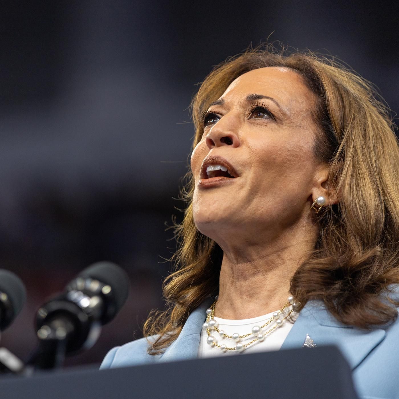 Zölle, Jobs, Steuern - was will Kamala Harris?