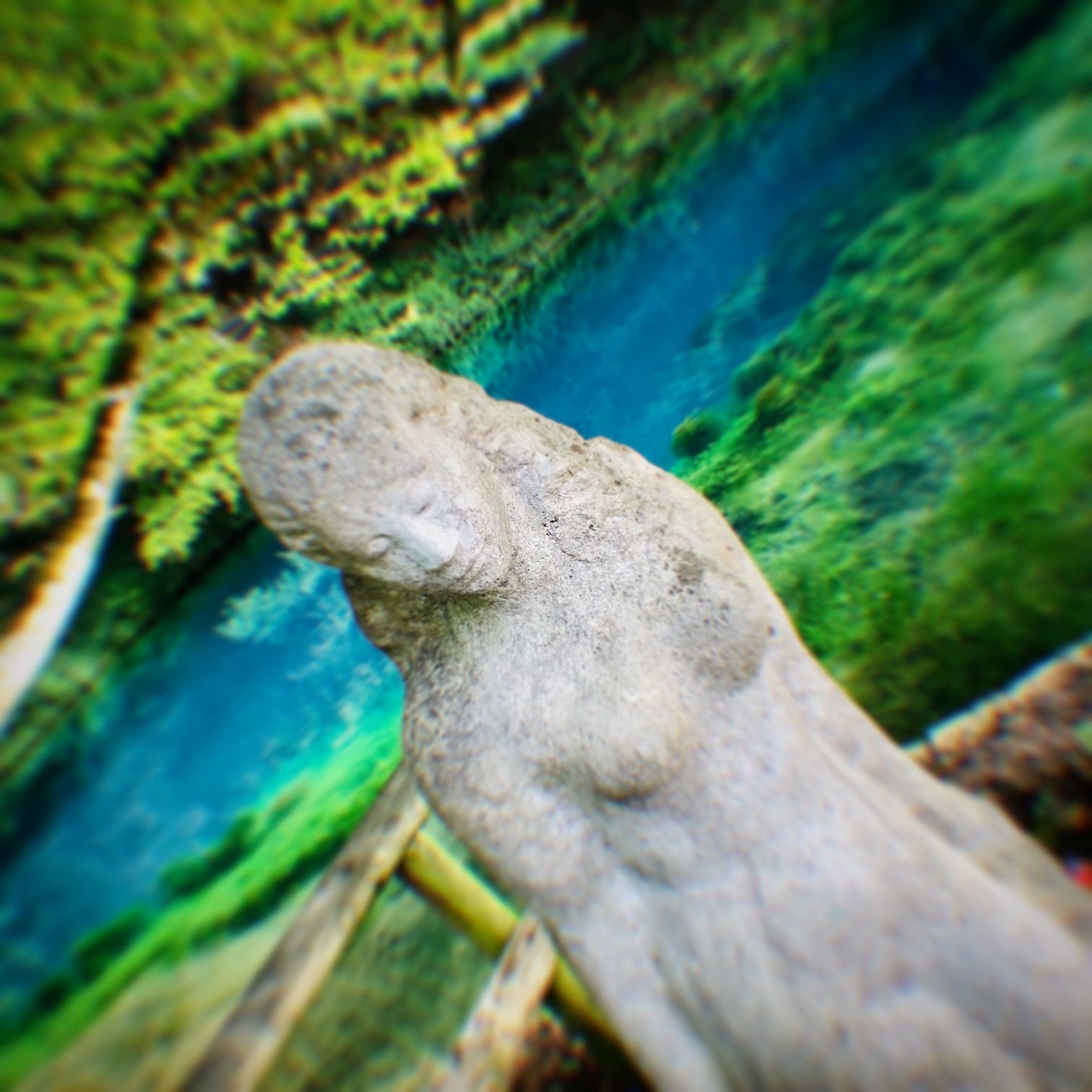 Zoff um Blautopf-Sperrung: Das sagt Blaubeurens Bürgermeister!