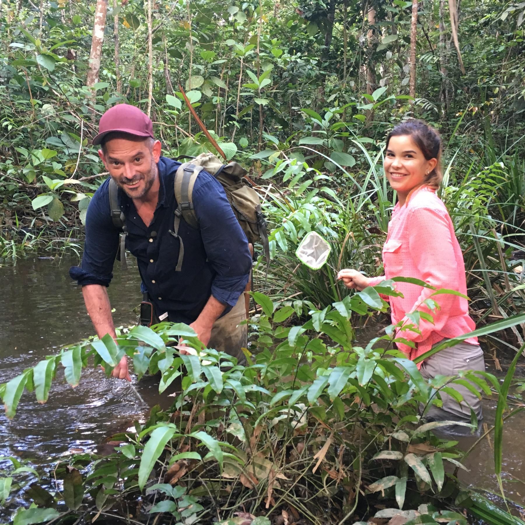 Zu Besuch bei Tigern, exotischen Fröschen und Elefanten im asiatischen Dschungel