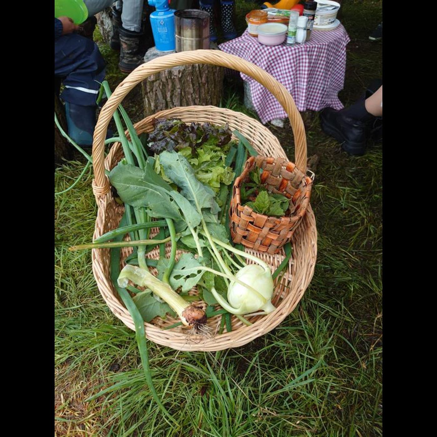 Zu Besuch im Kinderbauernhof Irschenberg