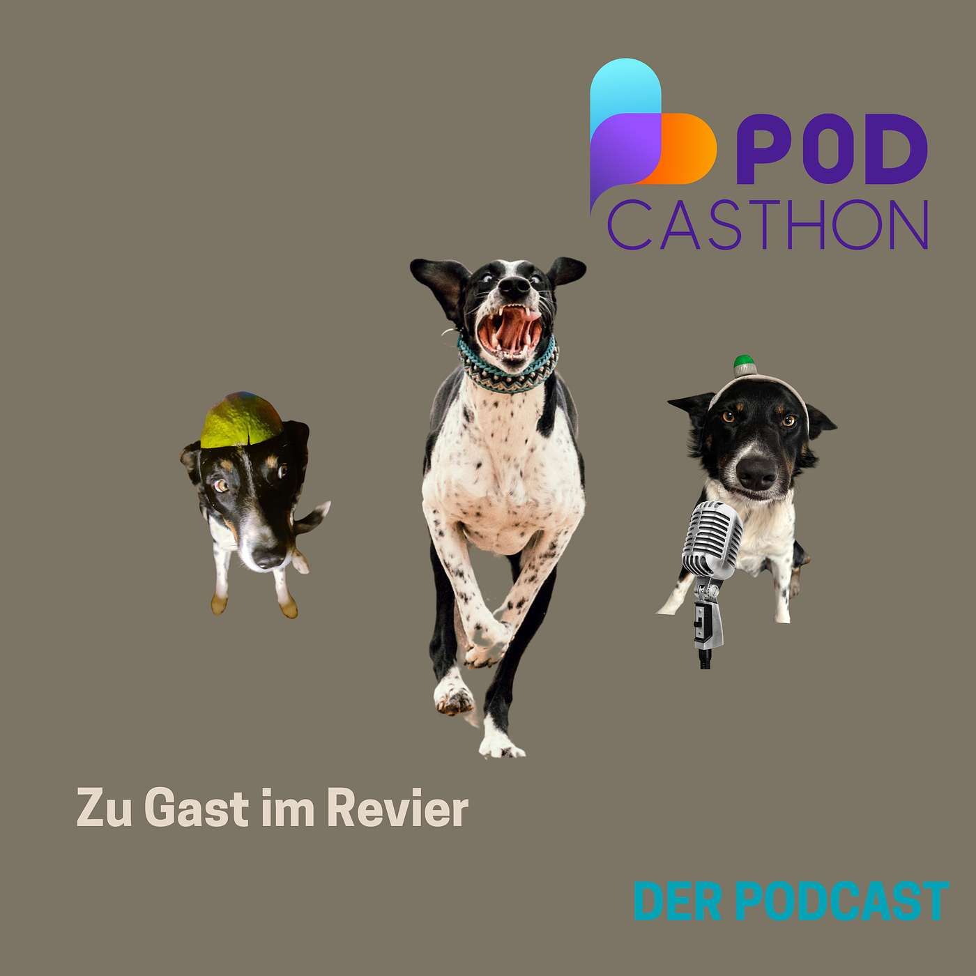 Zu Gast im Revier - Die Podcasthonfolge: Lea-Valine Opiela über das Leid der spanischen Jagdhunde