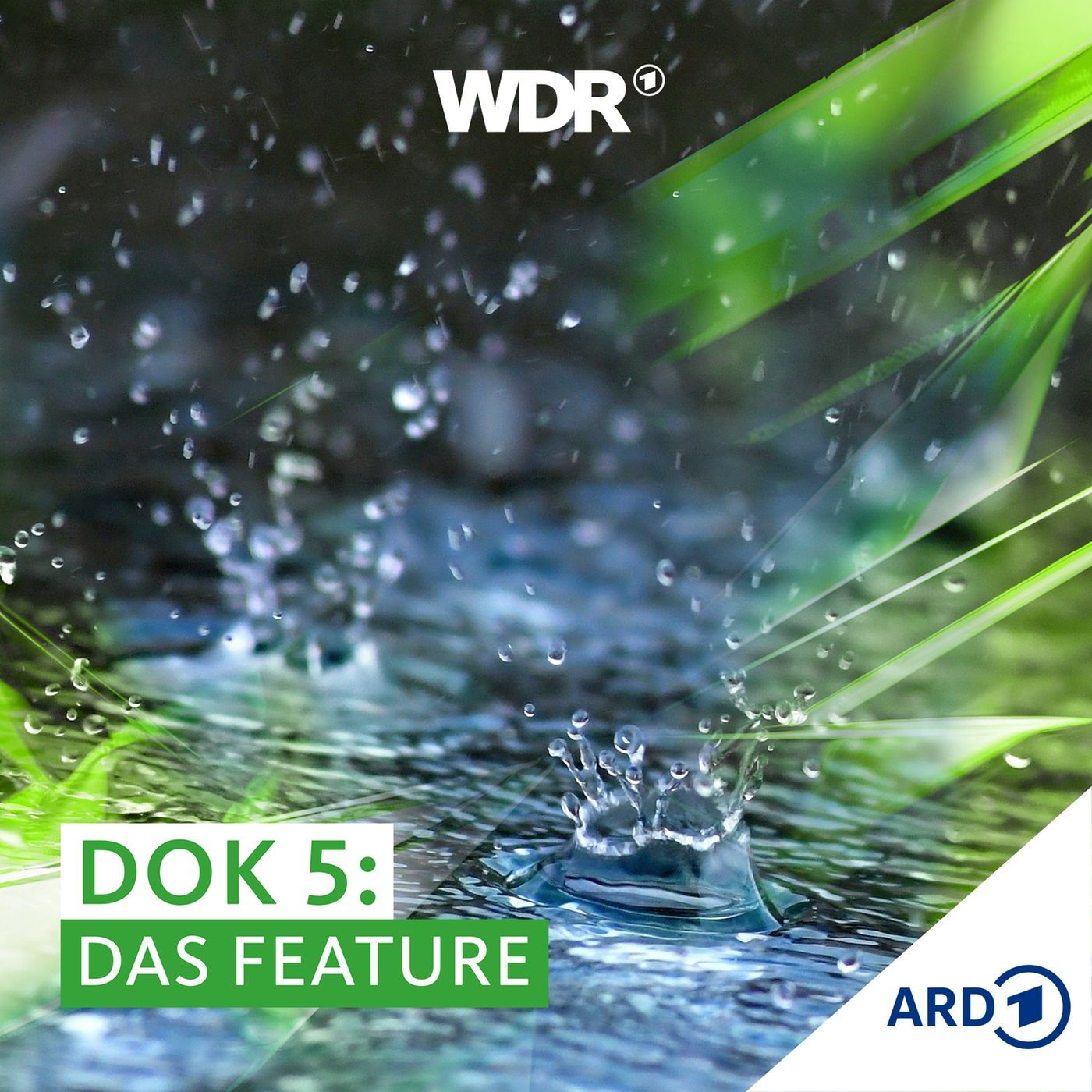 Zu nass oder zu trocken? Wirtschaftsfaktor Regen