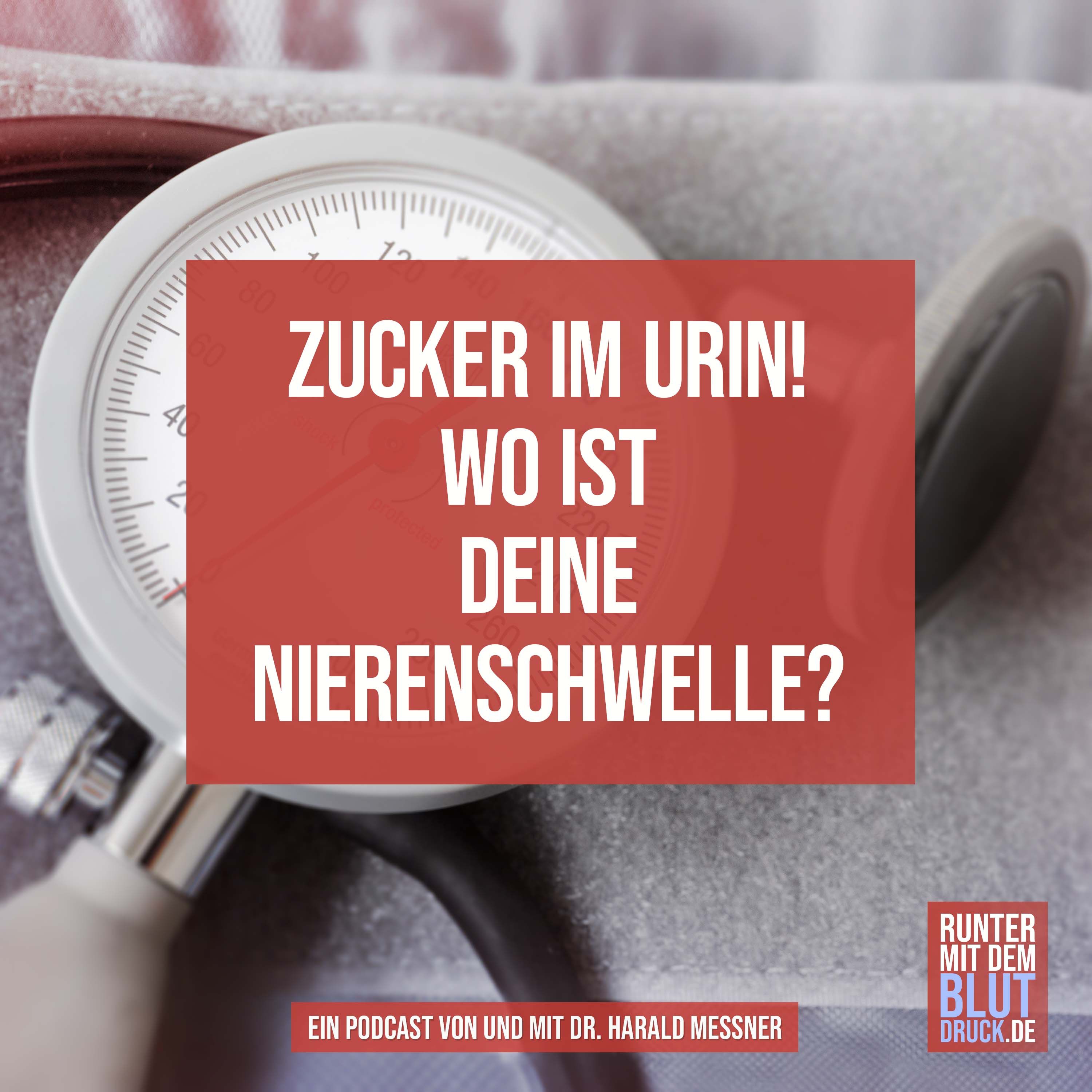 Zucker im Urin! Und wo ist deine Nierenschwelle?