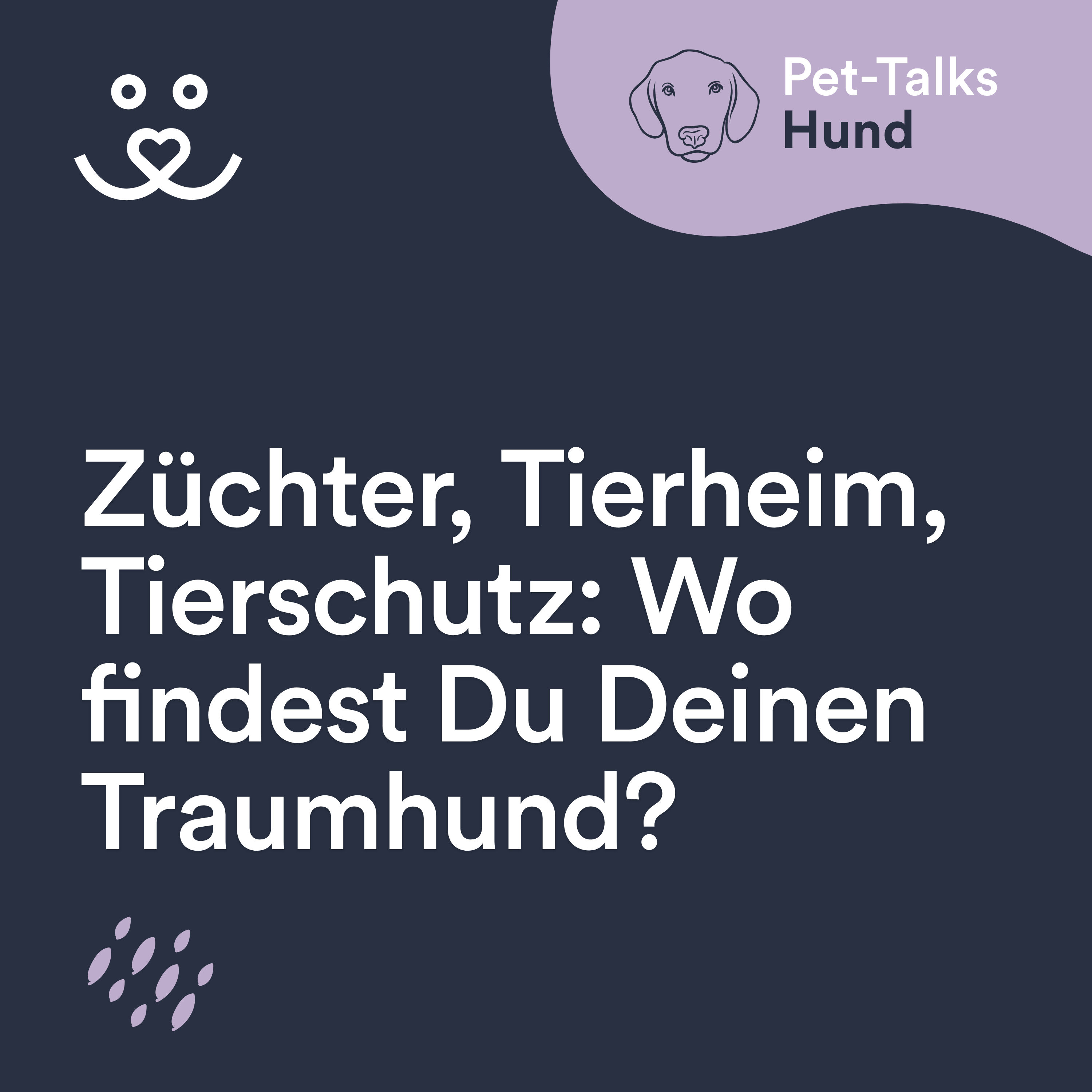 Züchter, Tierheim, Tierschutz: Wo findest Du Deinen Traumhund?