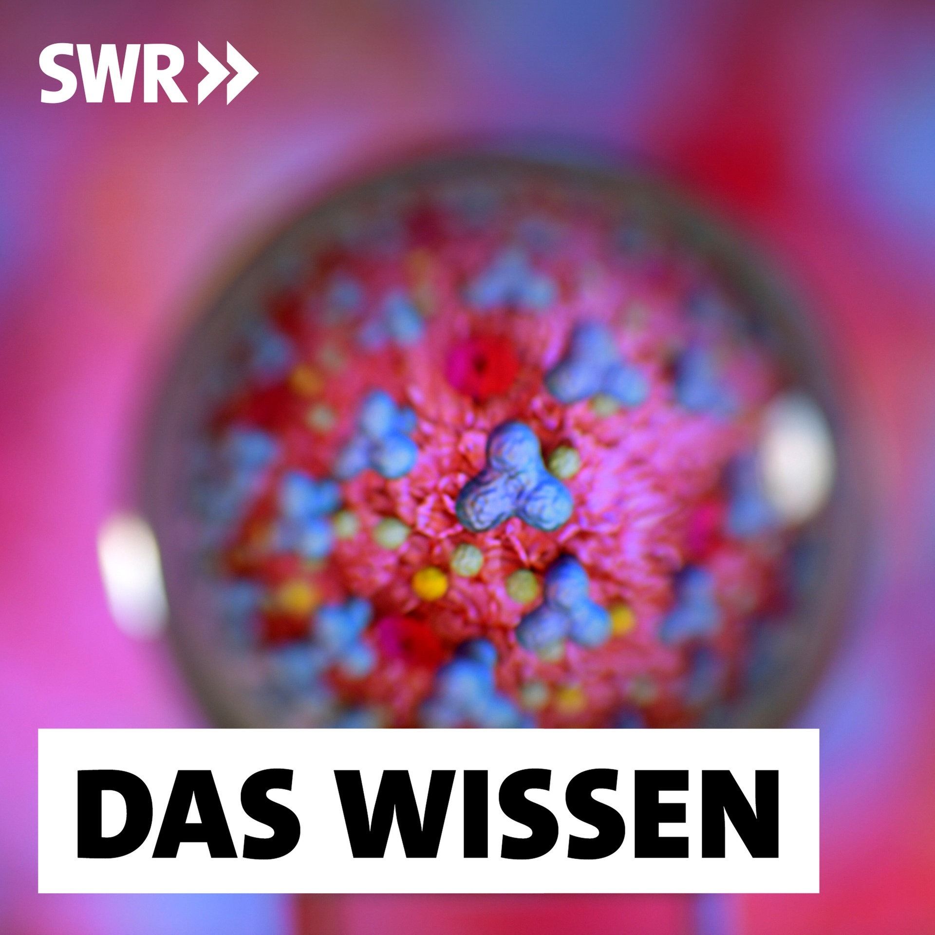 Zukunftsforschung – Wie Prognosen entstehen und was sie nützen