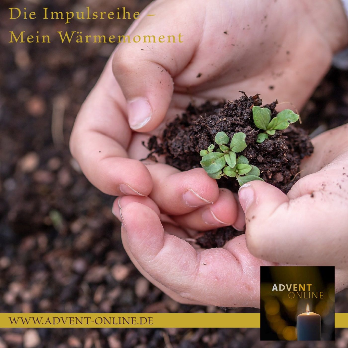 Zum Abschluss - Impuls 06.01.23