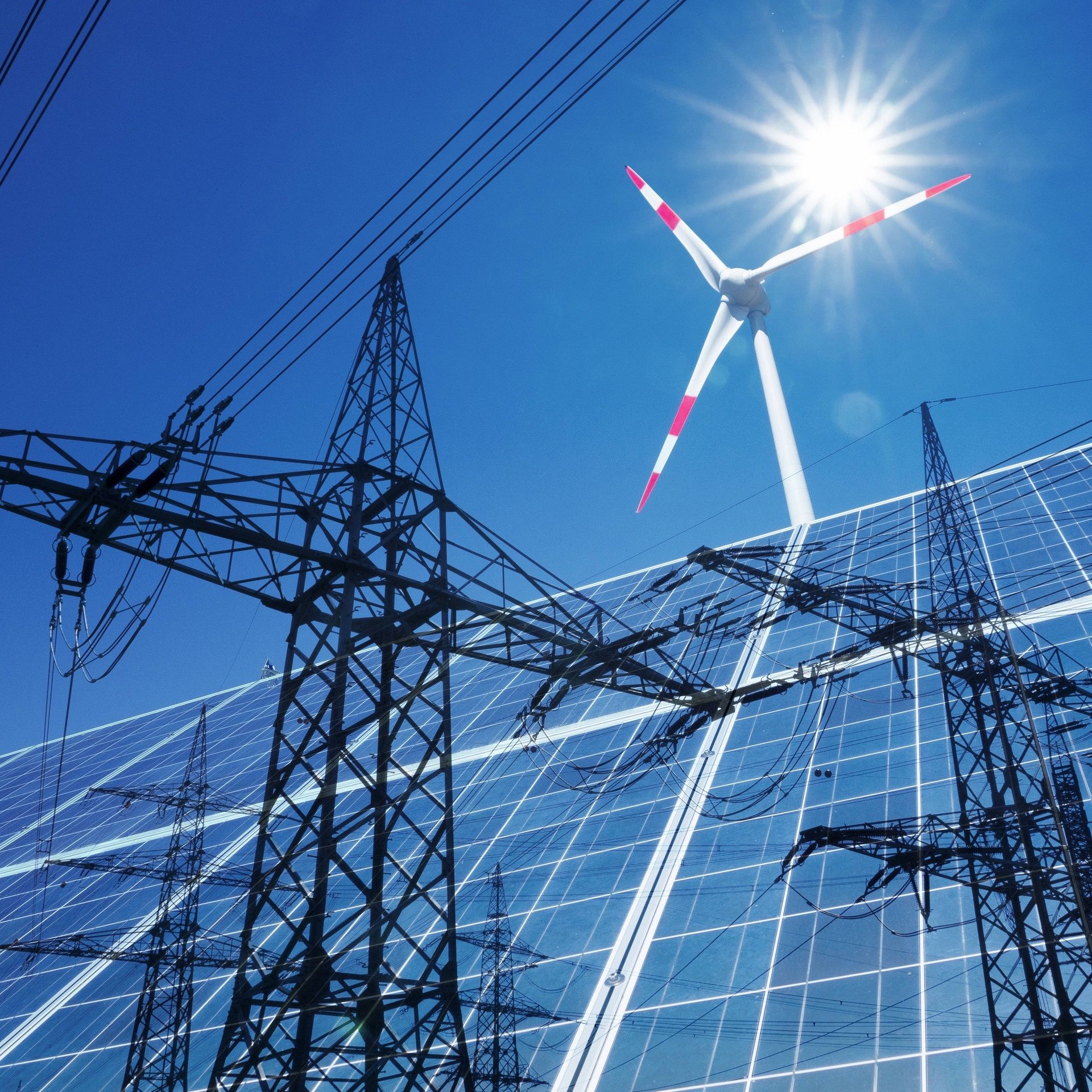 Zur Landtagswahl in Rheinland-Pfalz: Welche Rolle spielt Klima noch im Wahlkampf?