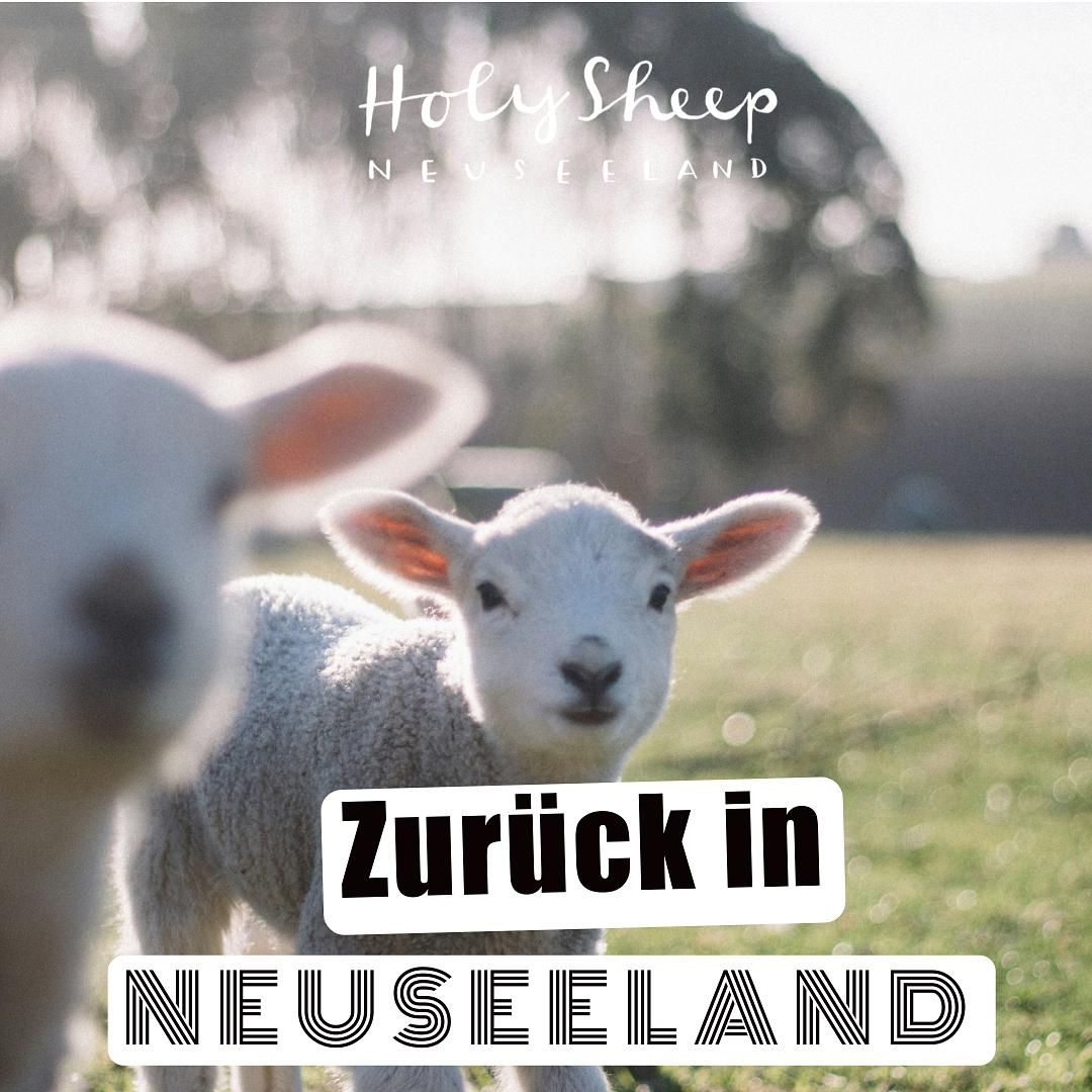 Zurück in Neuseeland - nach 3 Monaten in Deutschland.