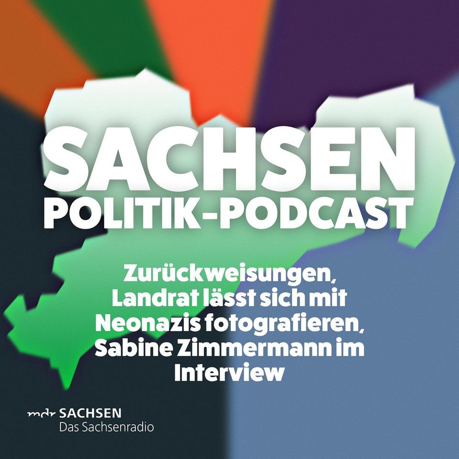 Zurückweisungen an Sachsens Grenzen, Landrat lässt sich mit Neonazis fotografieren, Sabine Zimmermann vom BSW im Interview