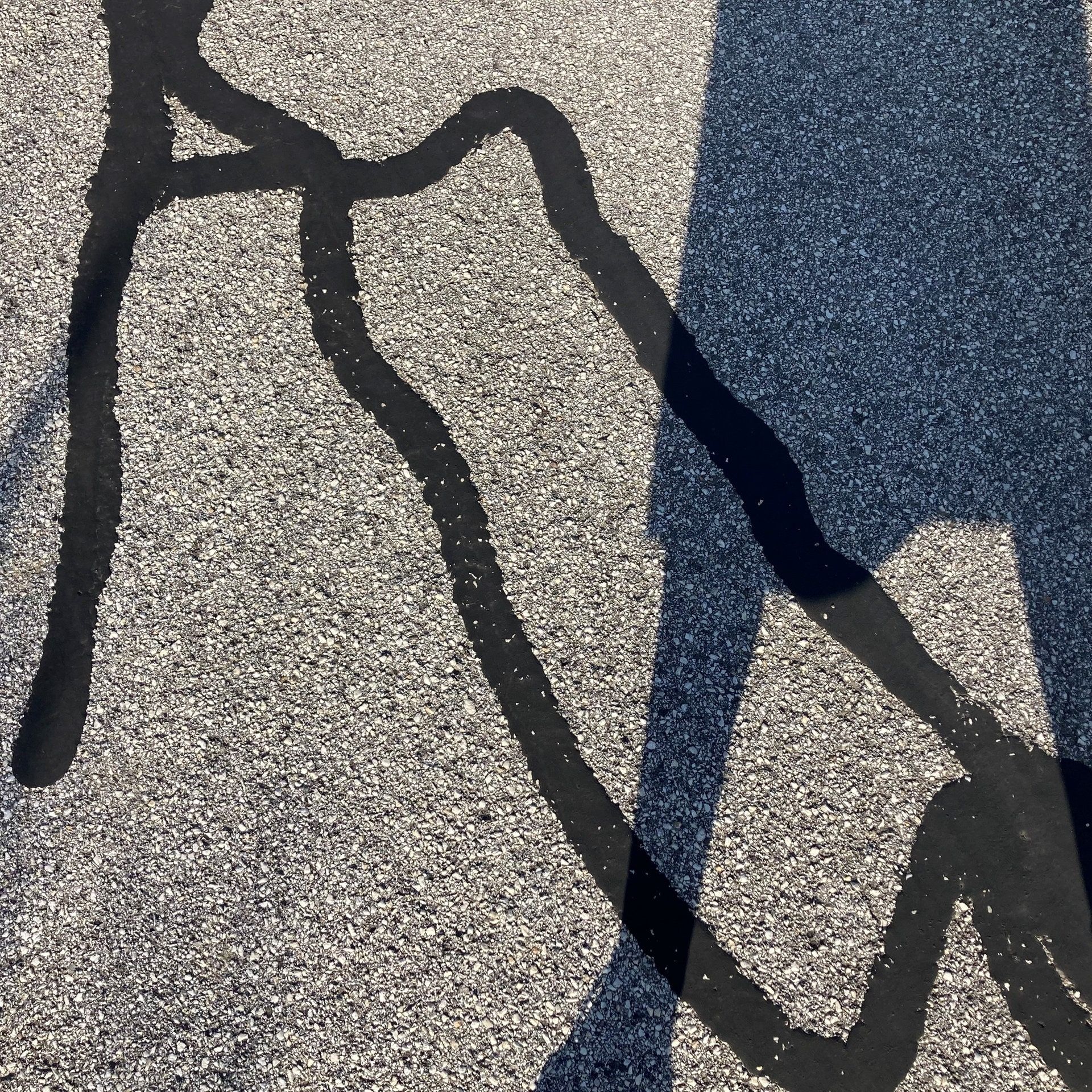 Zwei Millionen Zeichen – Begegnung mit dem Schriftsteller Peter Waterhouse