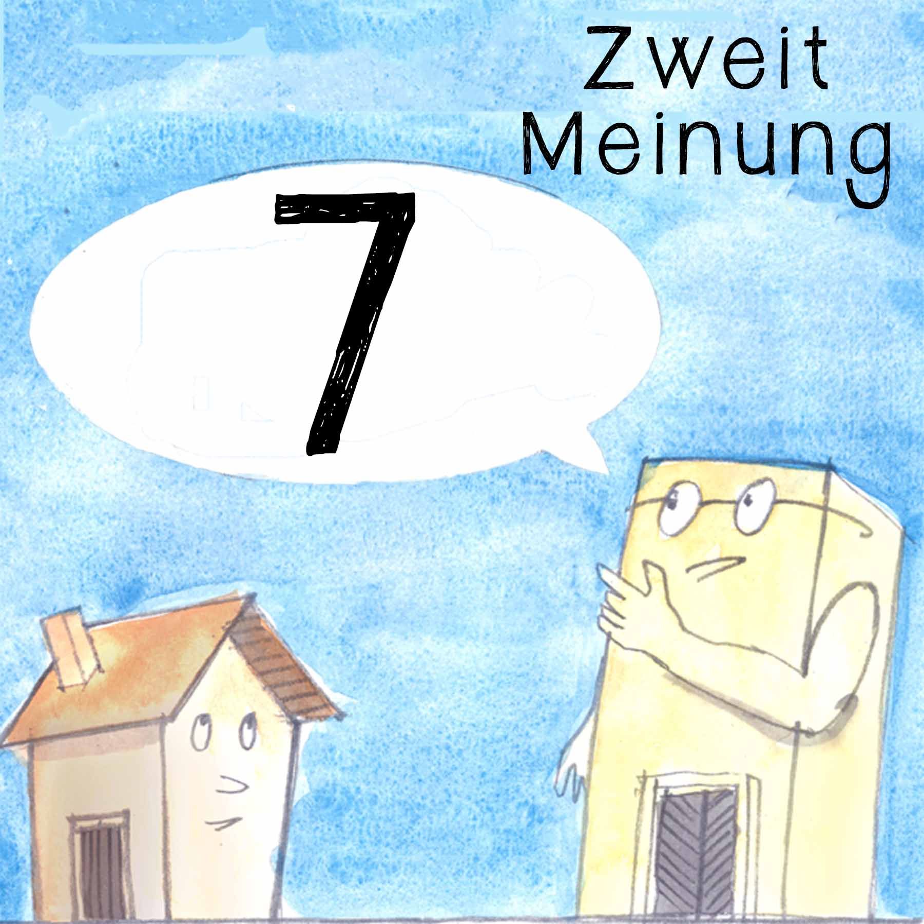 Zweitmeinung - Folge 7: Das Elend der Privatanleger