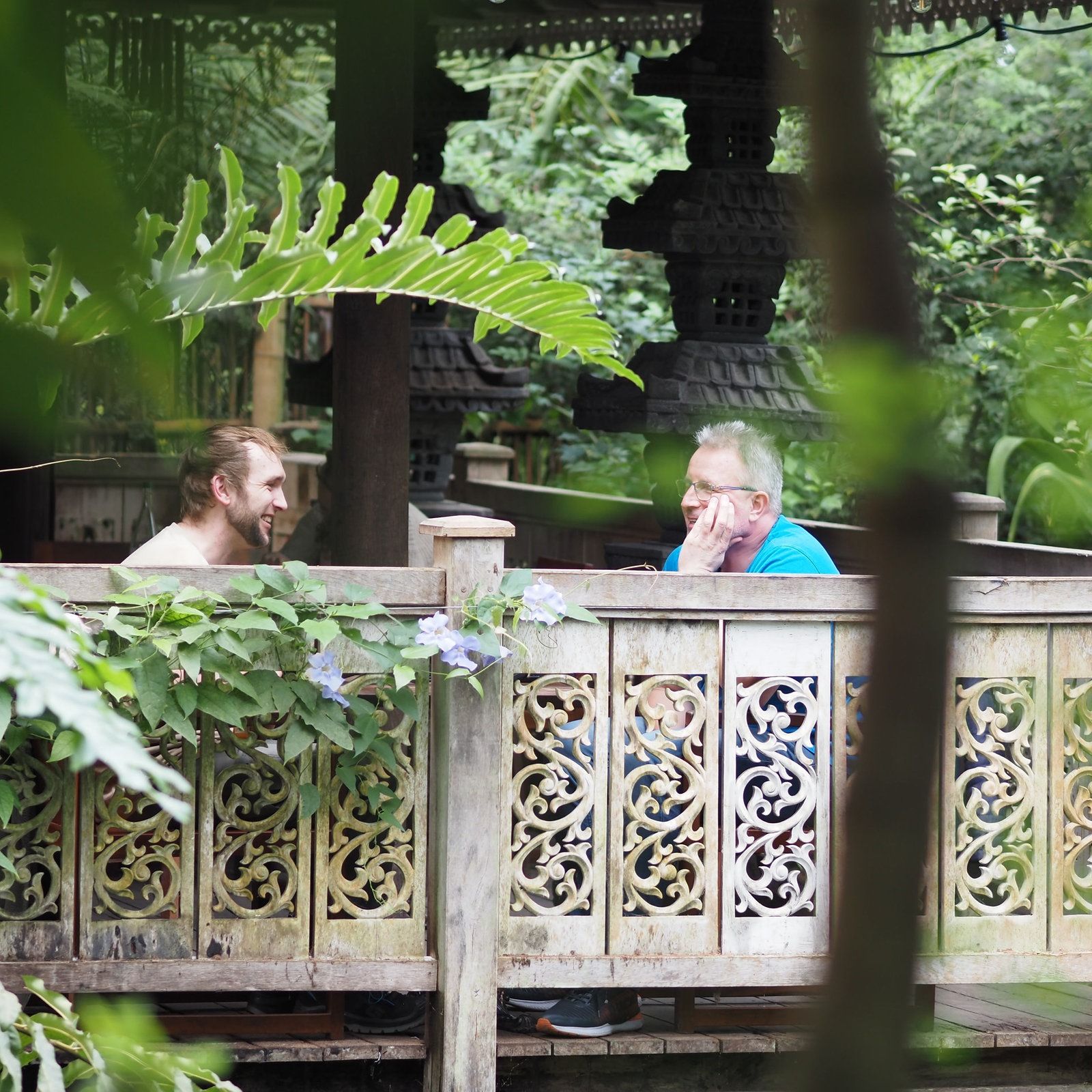 Zwergotter - Raue Gesellen fürs Herz