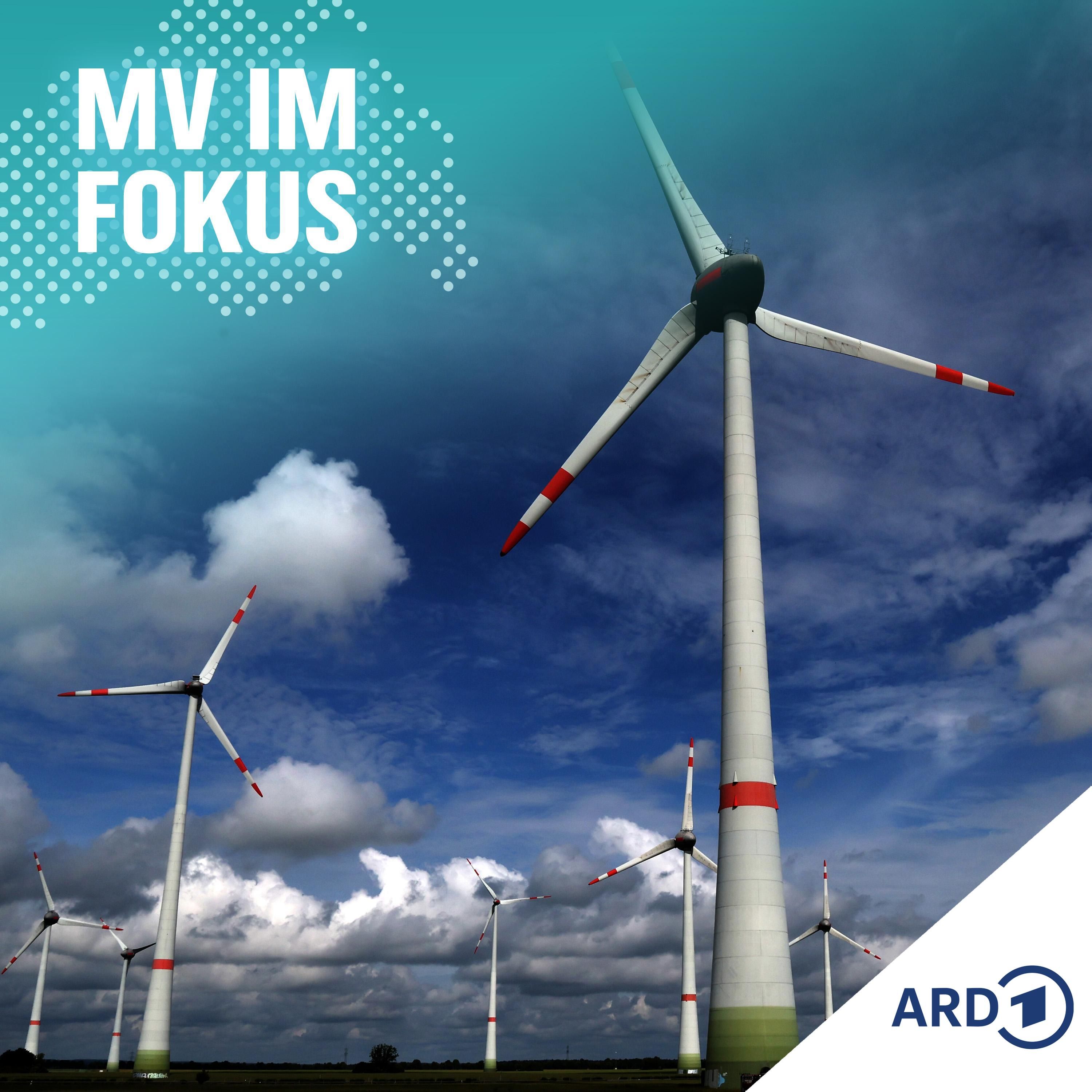 Zwischen Aufwind und Widerstand - Spaltet die Windkraft?