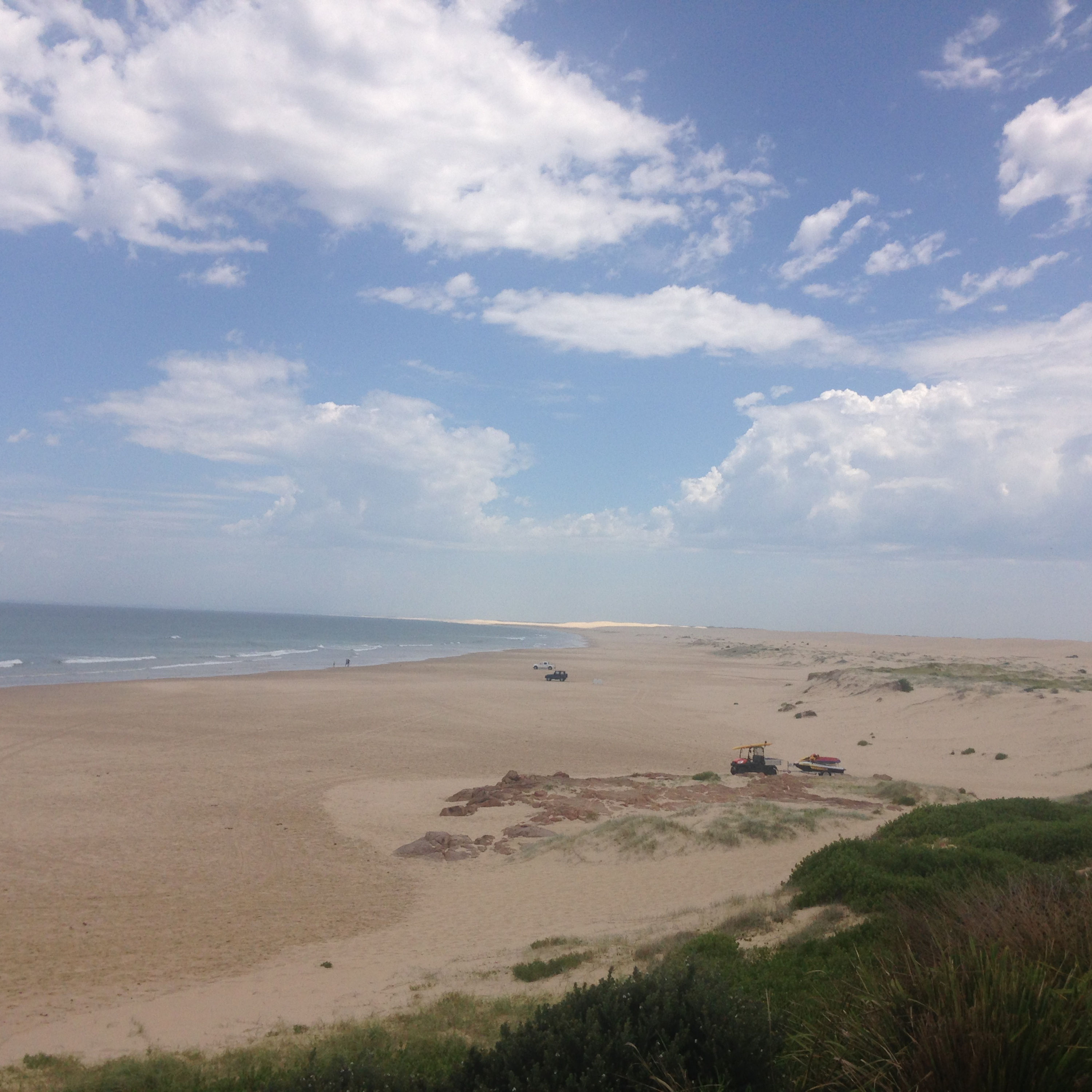 Zwischen Eukalyptus und Meer - von den Blue Mountains nach Newcastle